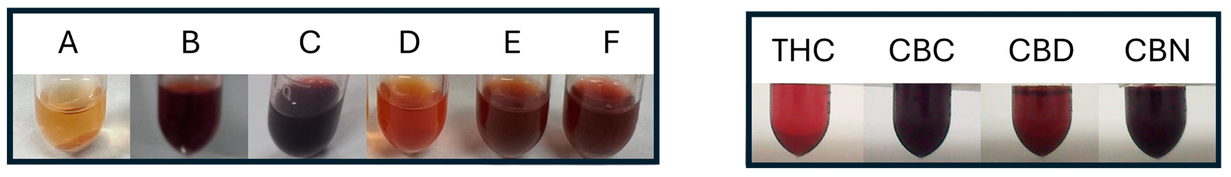 Plants 13 01951 g002