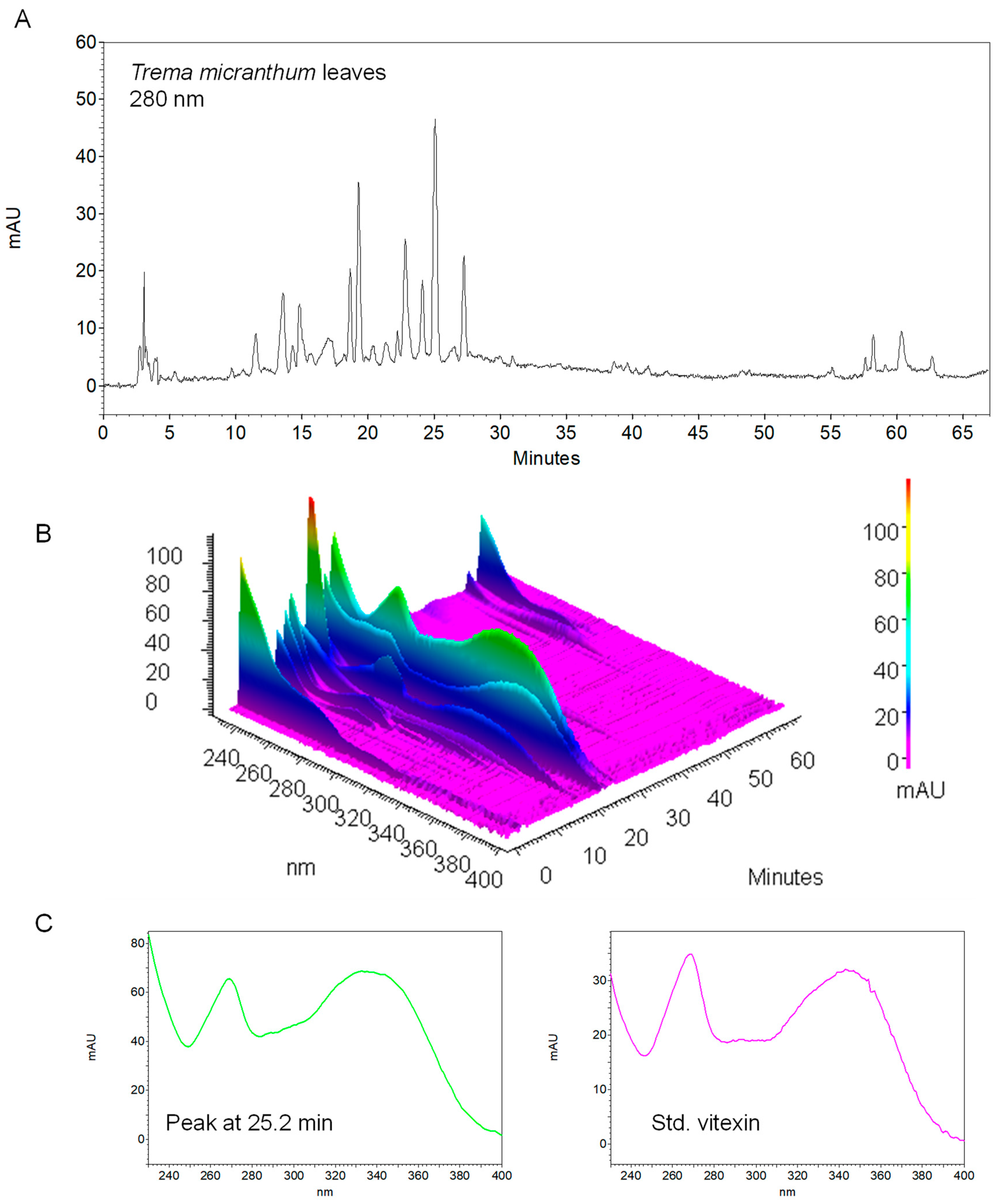 Plants 13 01951 g006