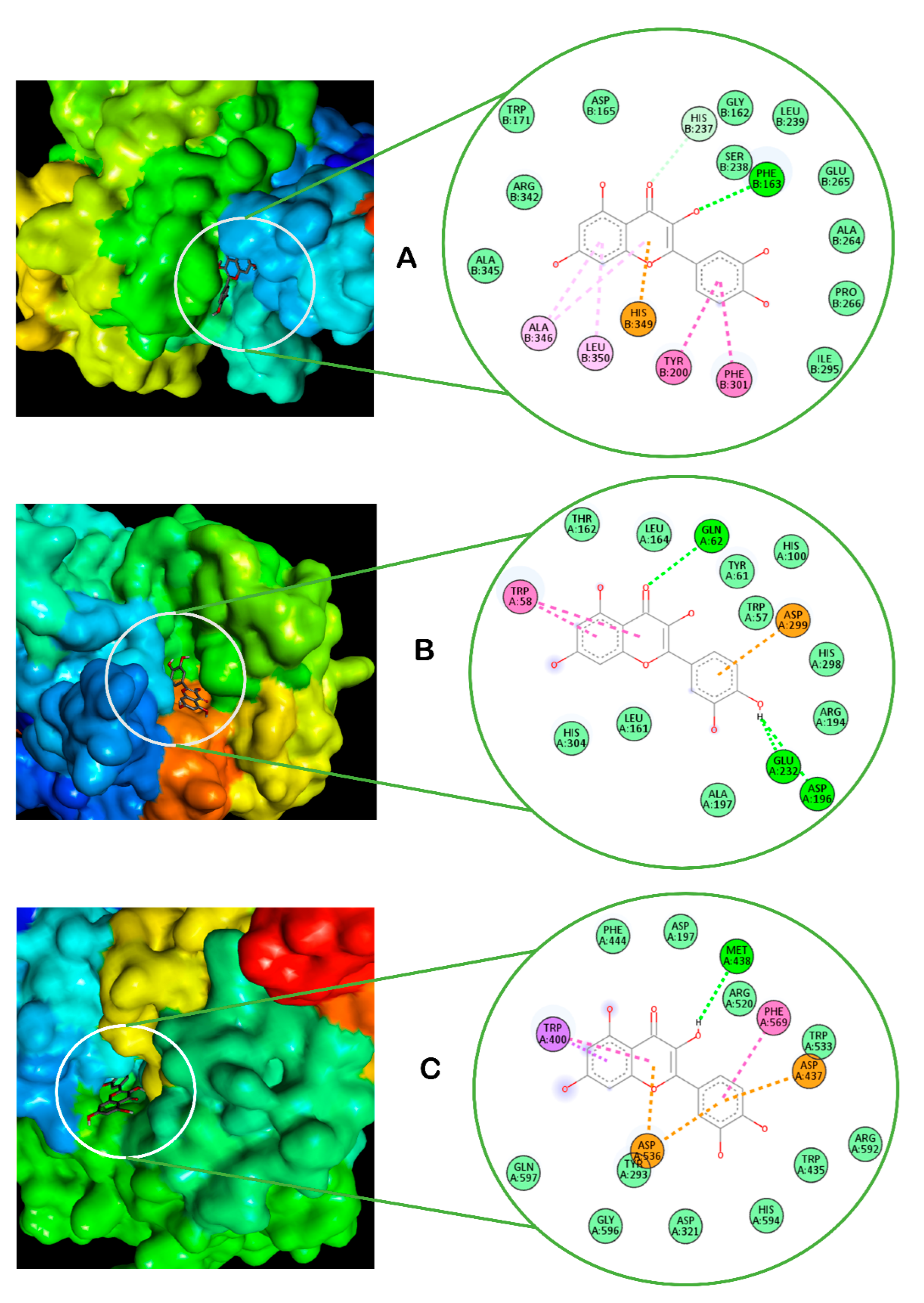 Plants 13 01952 g007