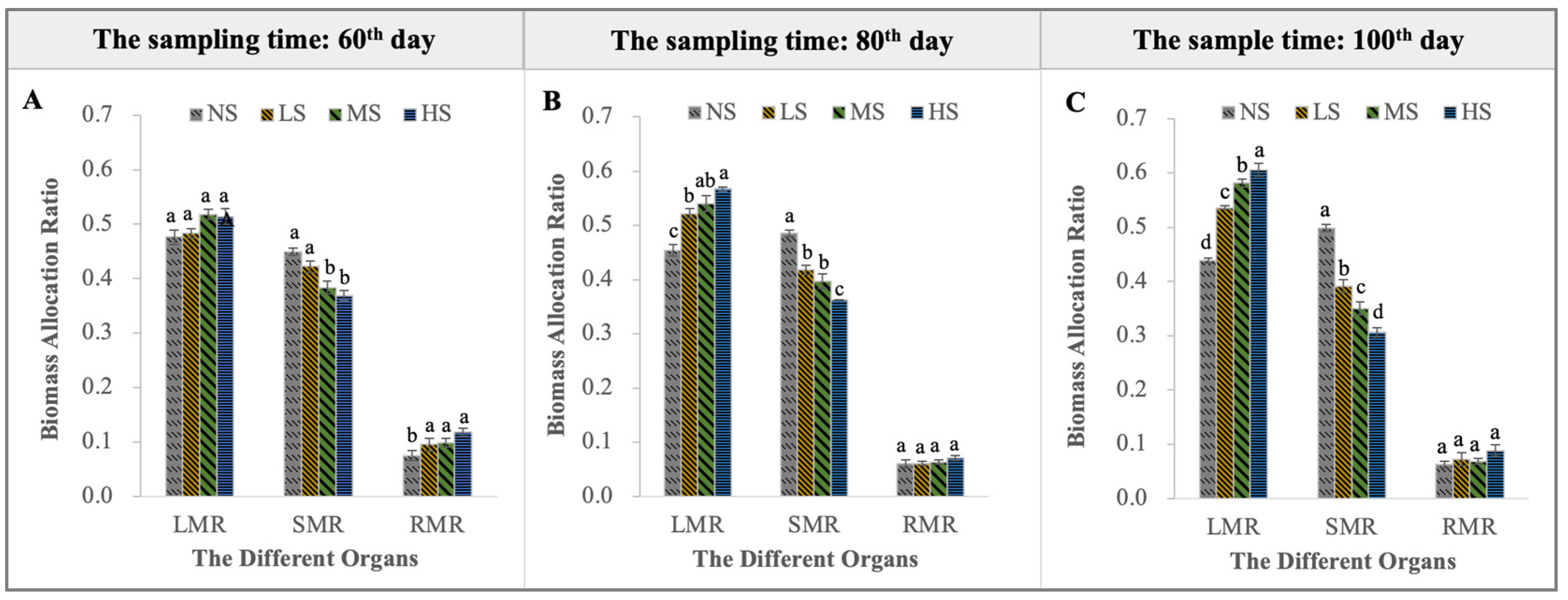 Plants 13 01954 g002