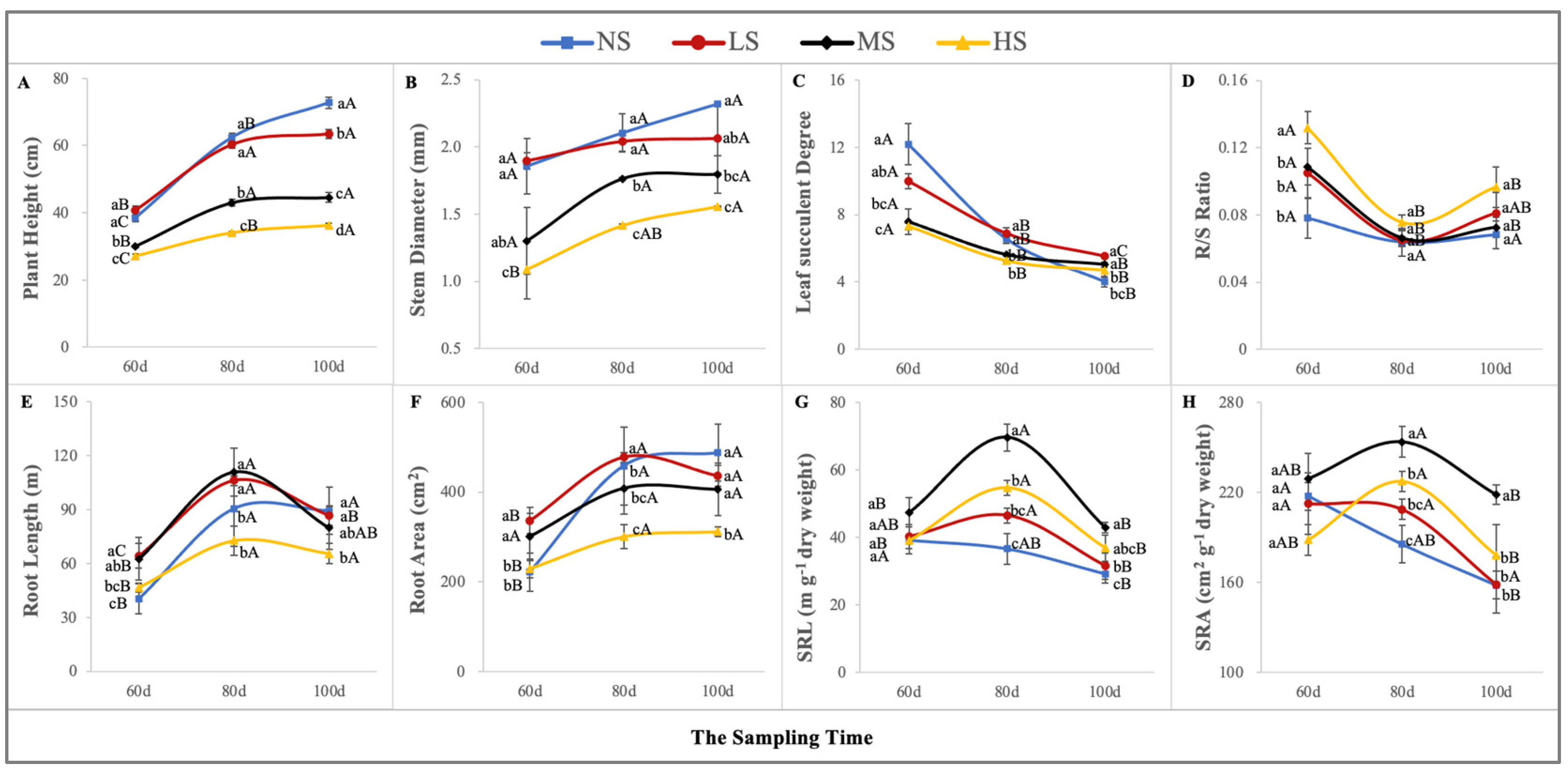 Plants 13 01954 g004