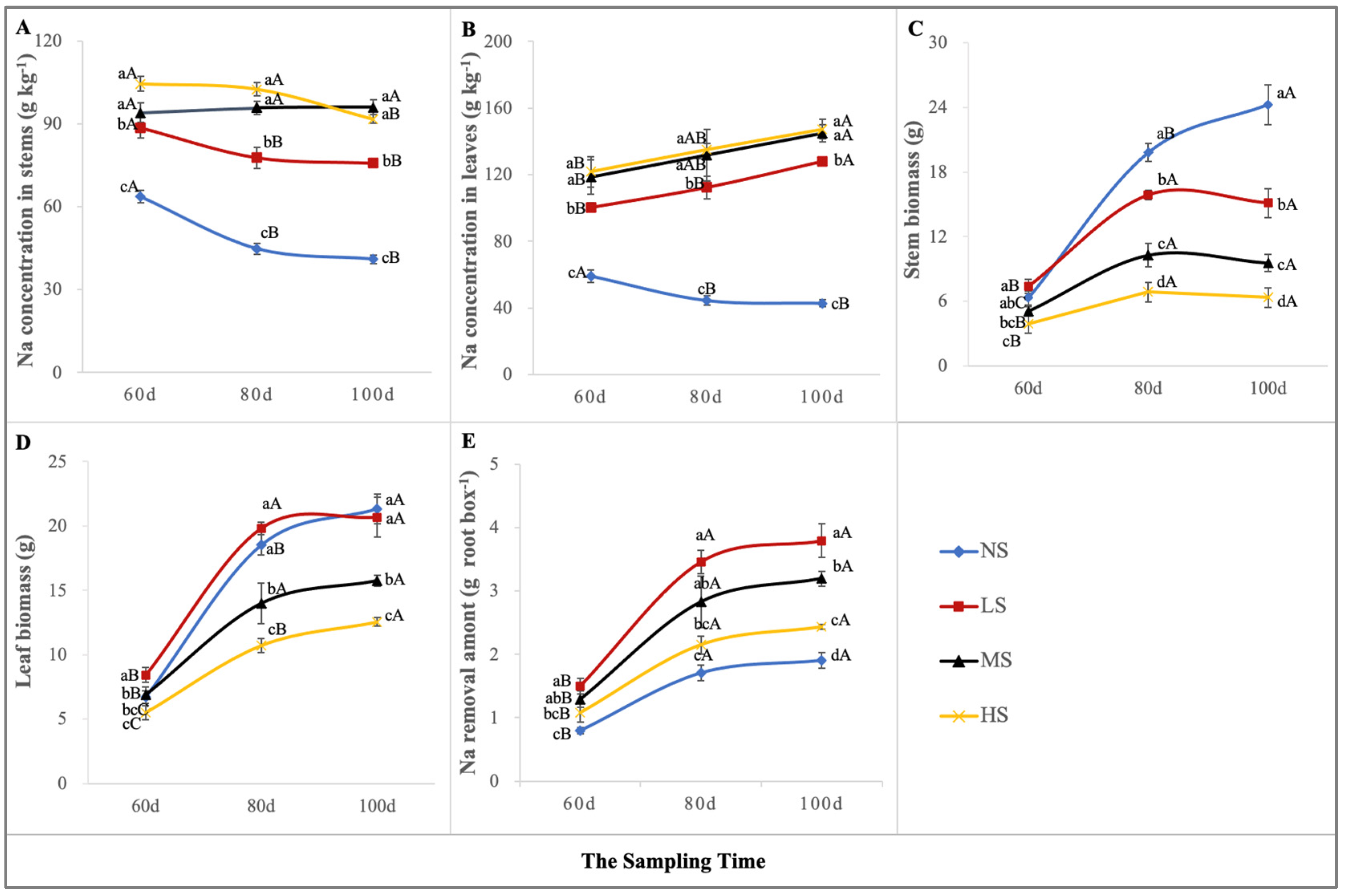 Plants 13 01954 g007