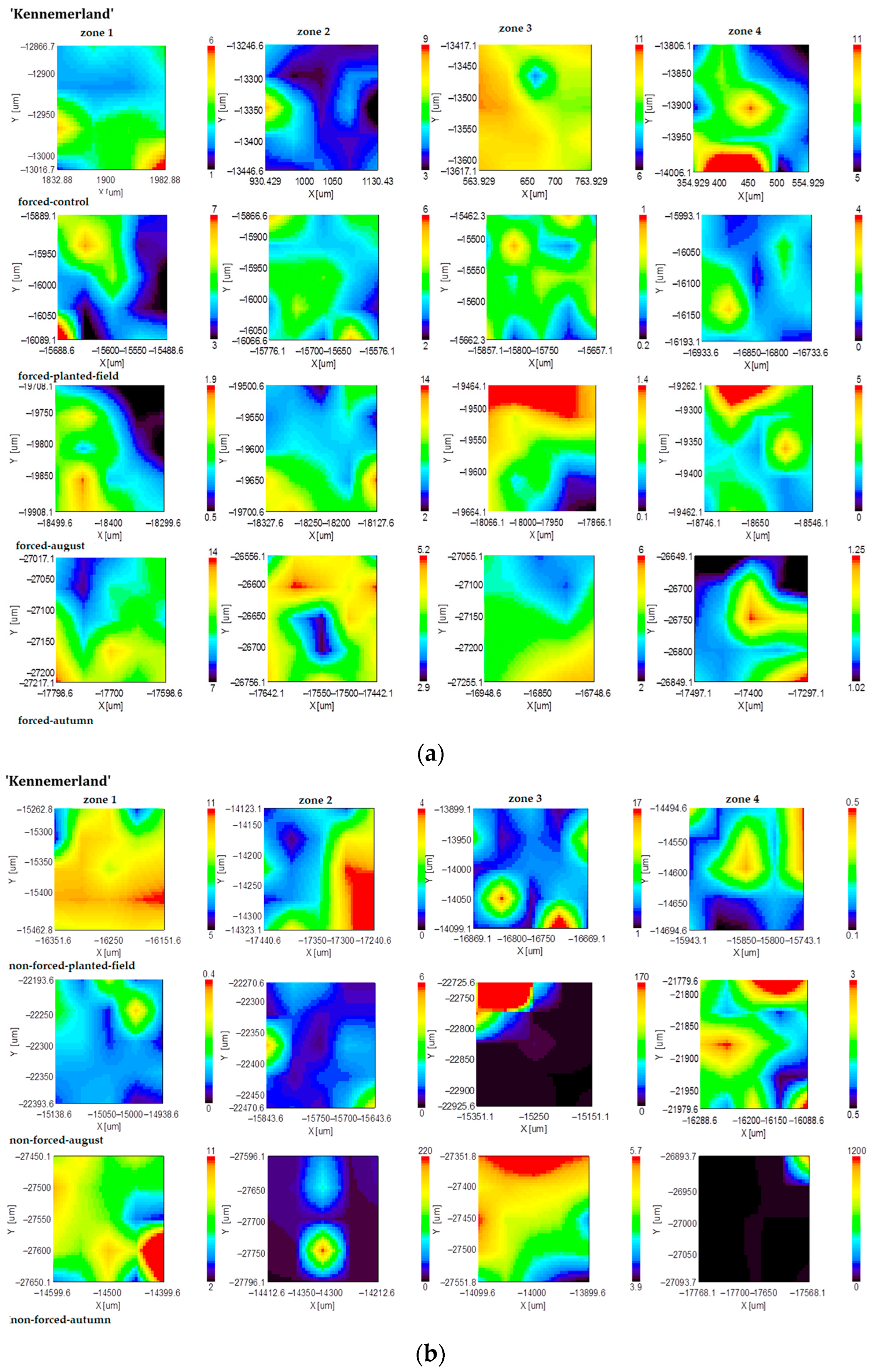 Plants 13 01955 g005