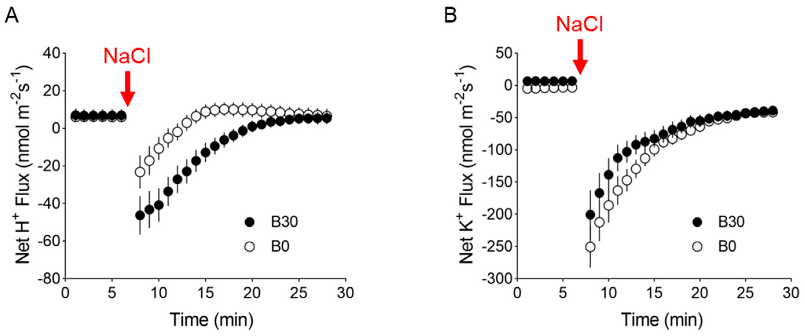 Plants 13 01960 g005