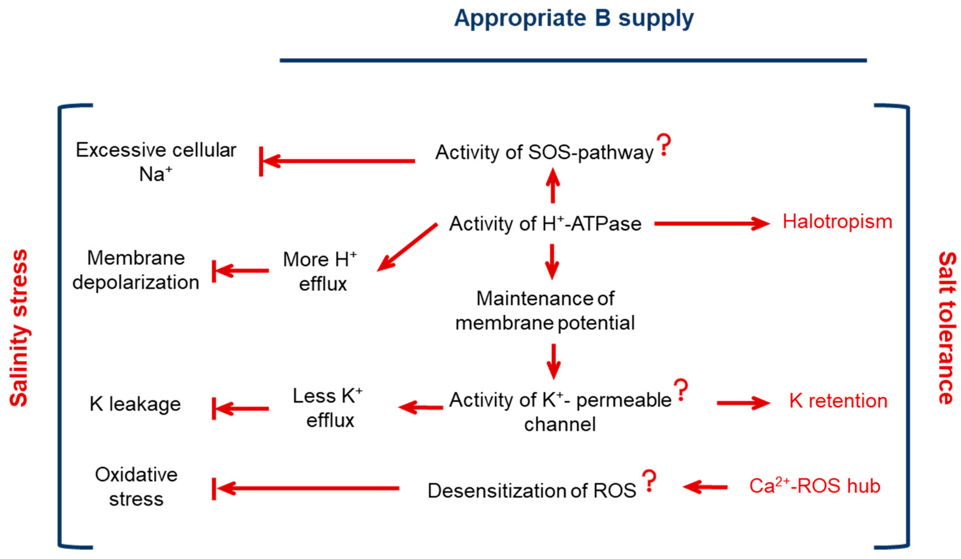 Plants 13 01960 g006