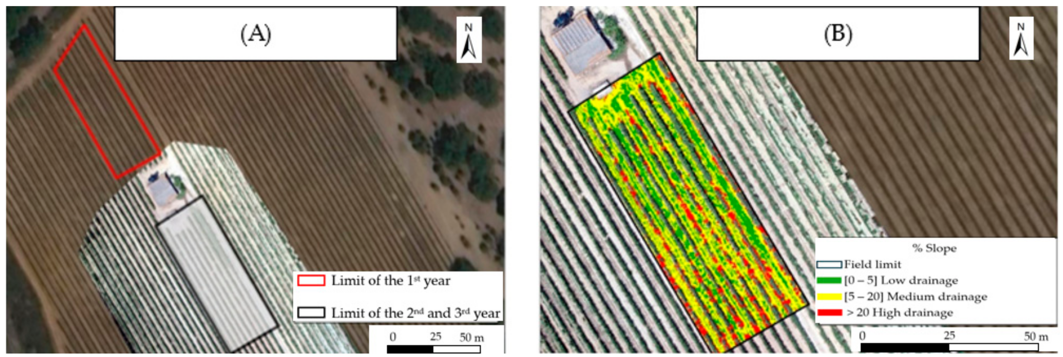 Plants 13 01962 g001