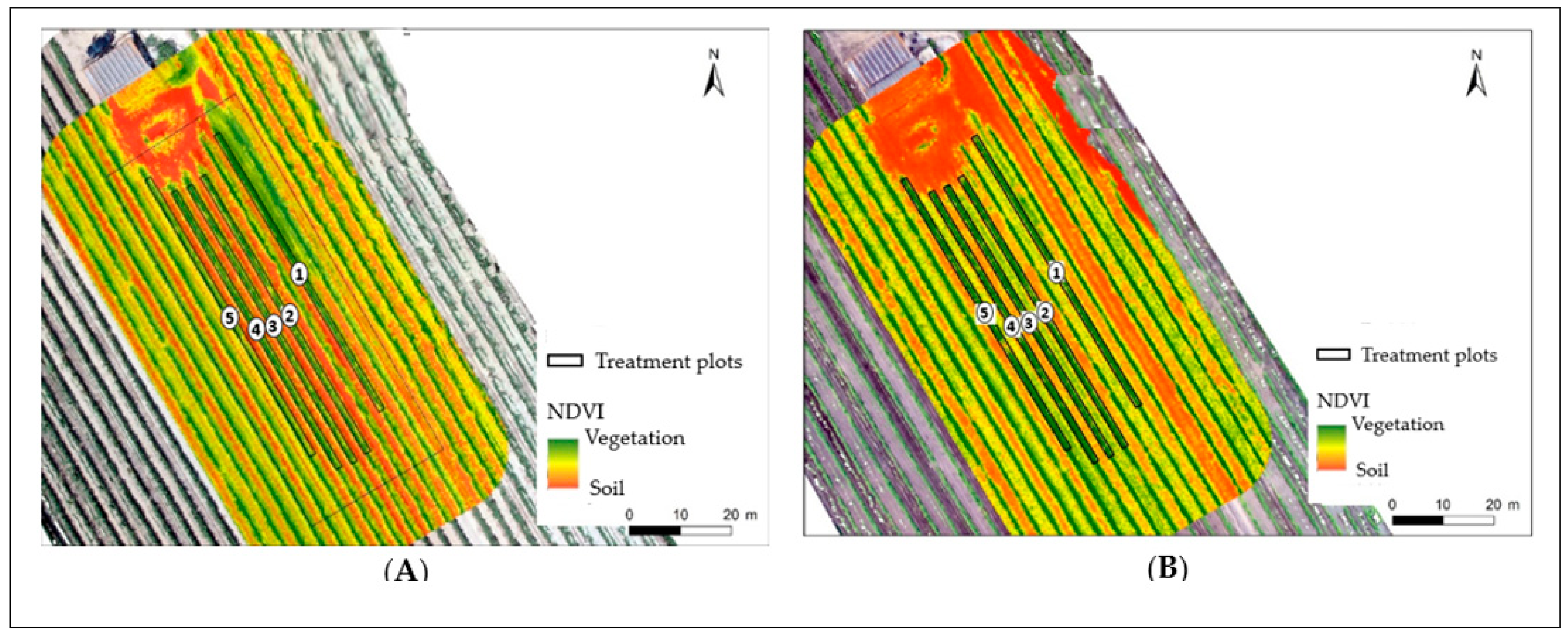 Plants 13 01962 g004