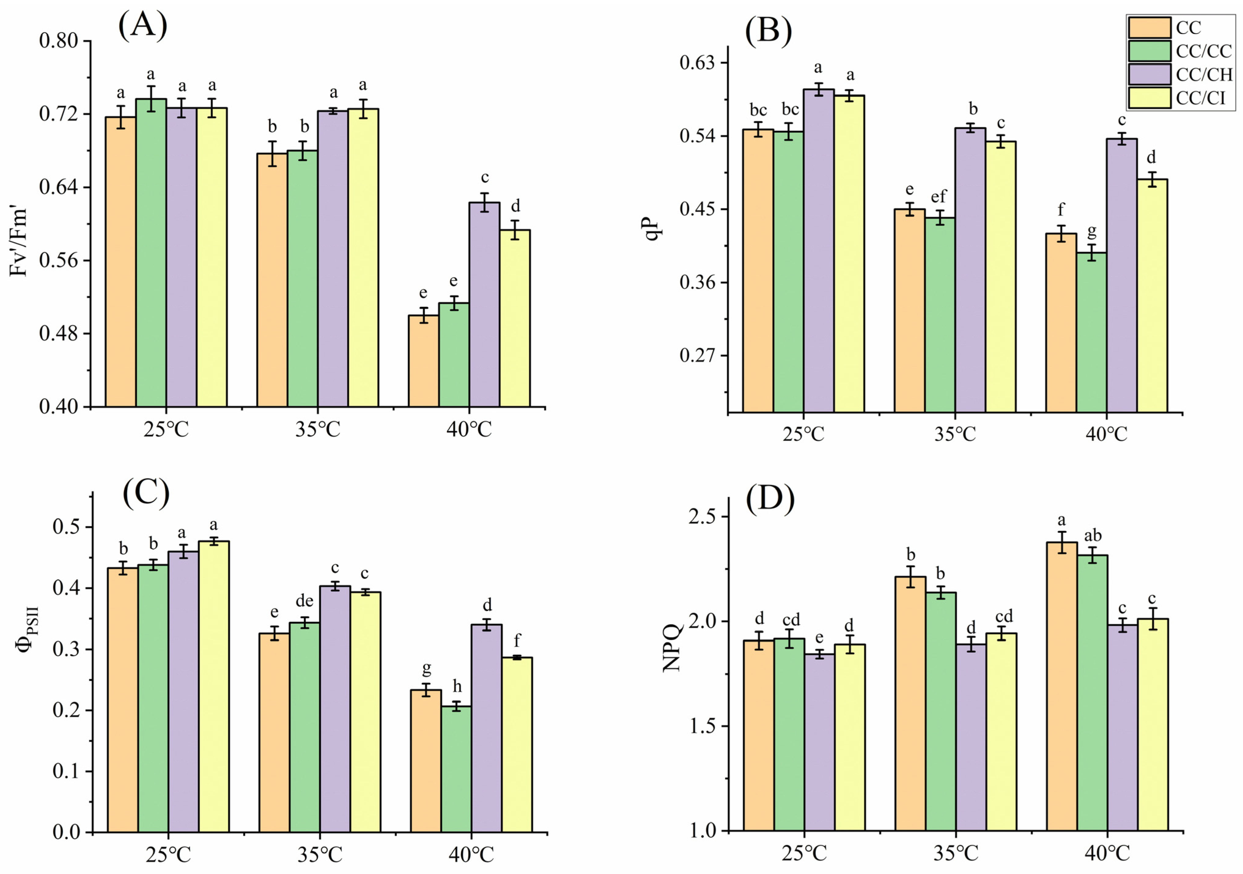 Plants 13 01967 g002