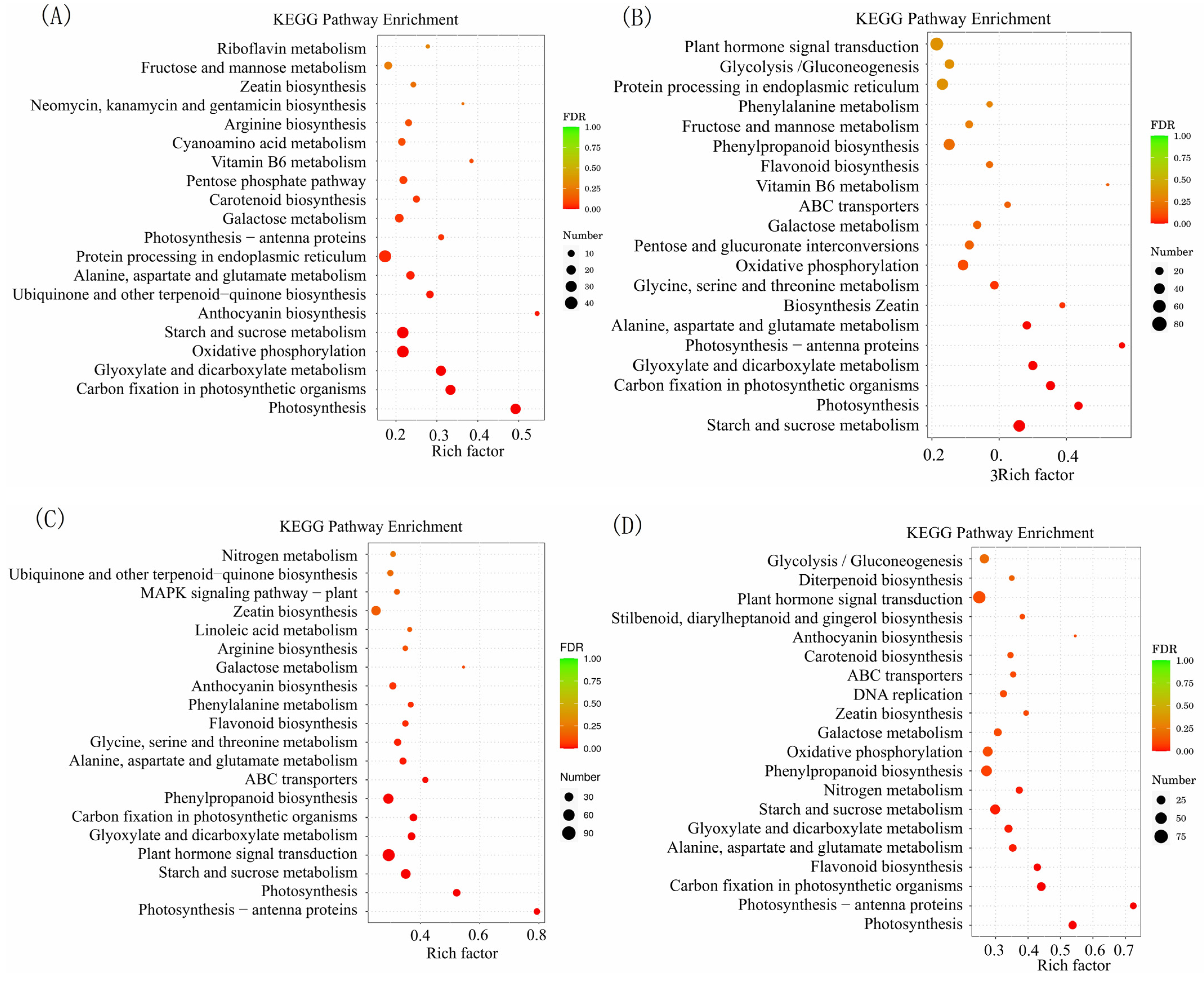 Plants 13 01967 g005