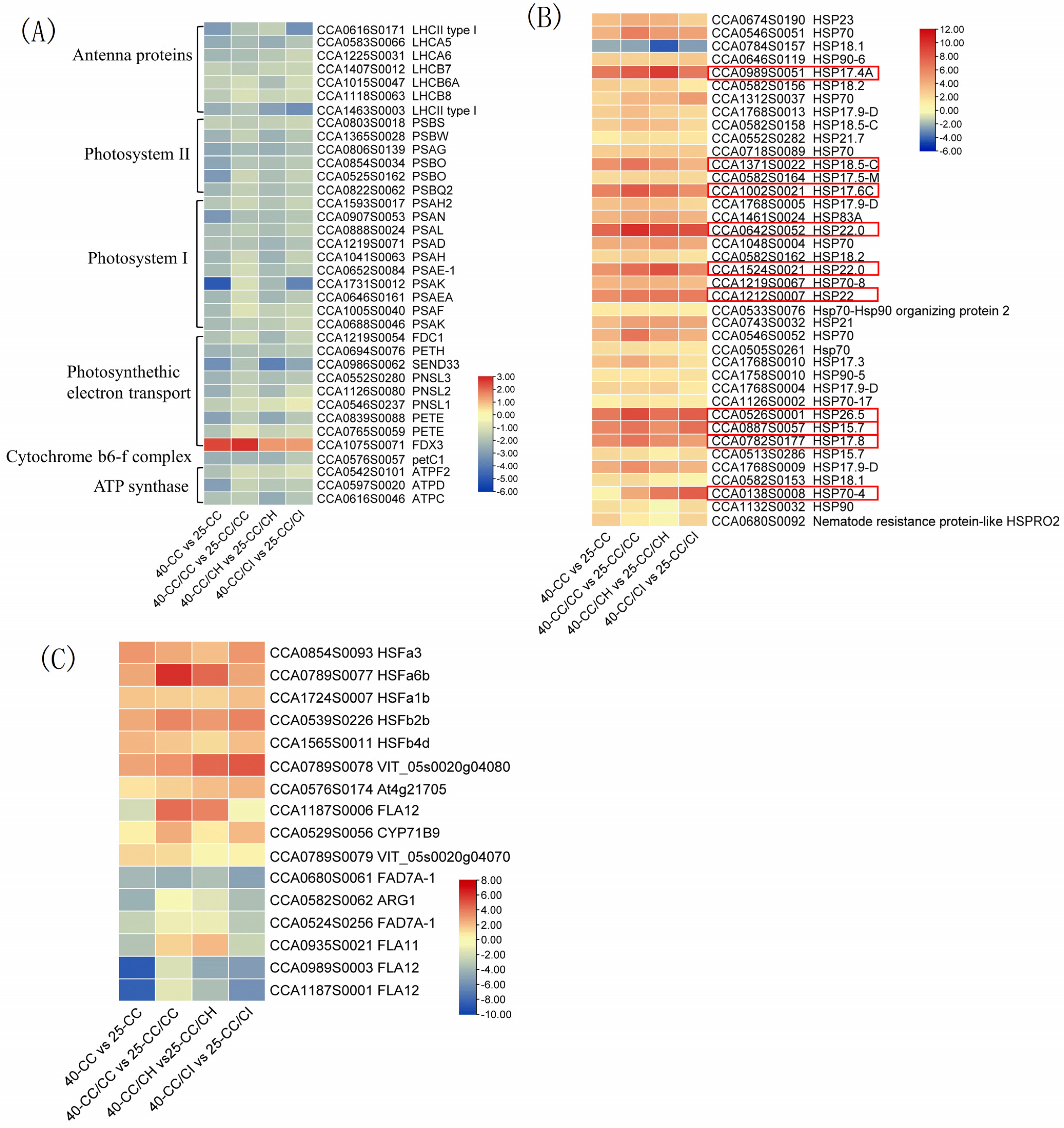 Plants 13 01967 g006