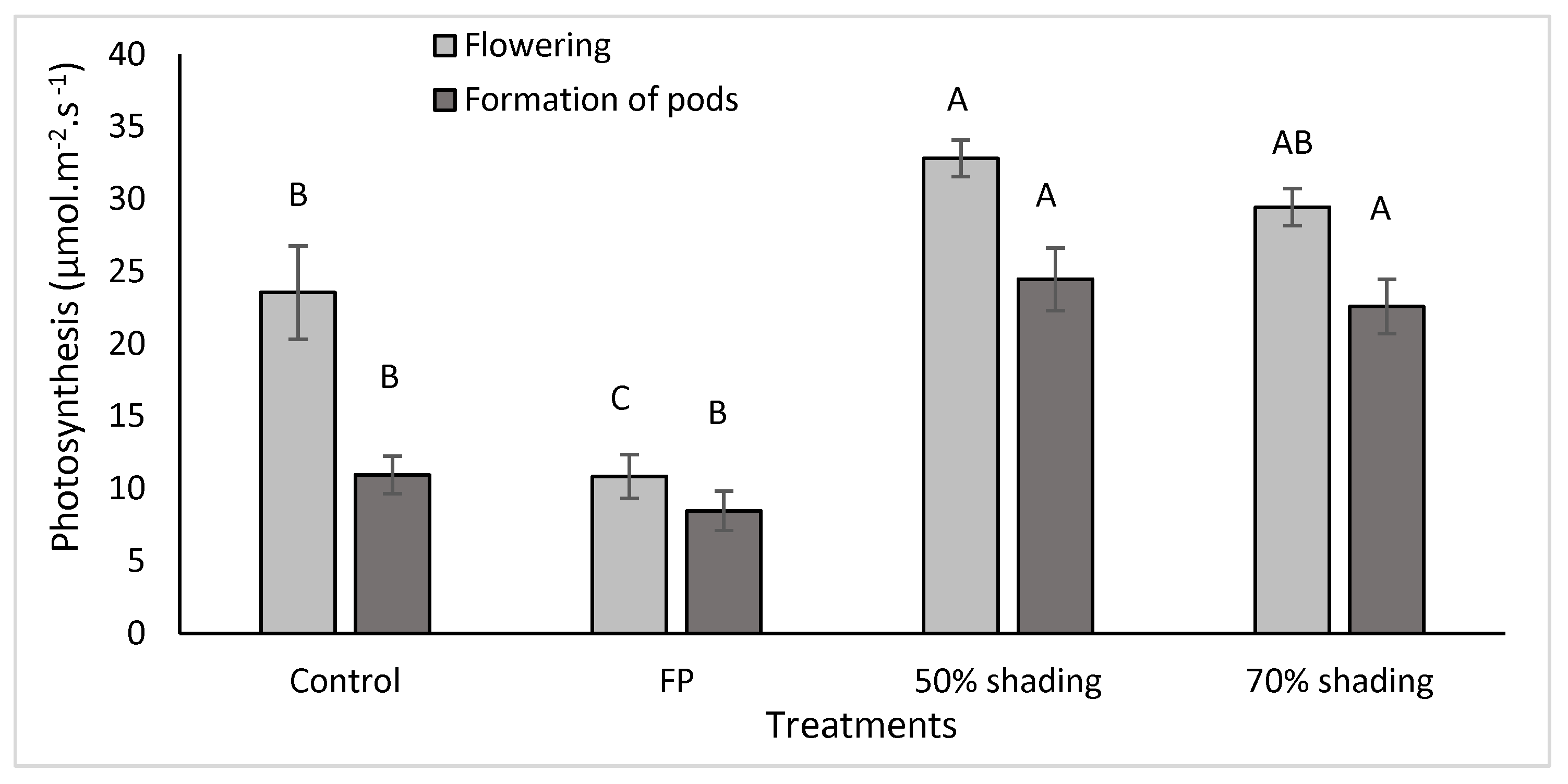 Plants 13 01968 g001