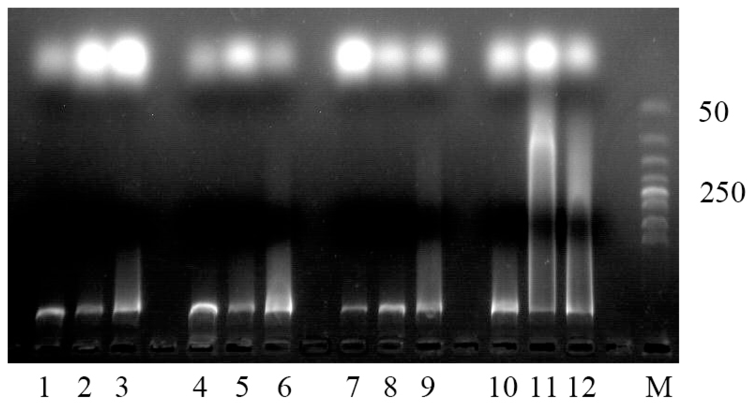 Plants 13 01969 g005
