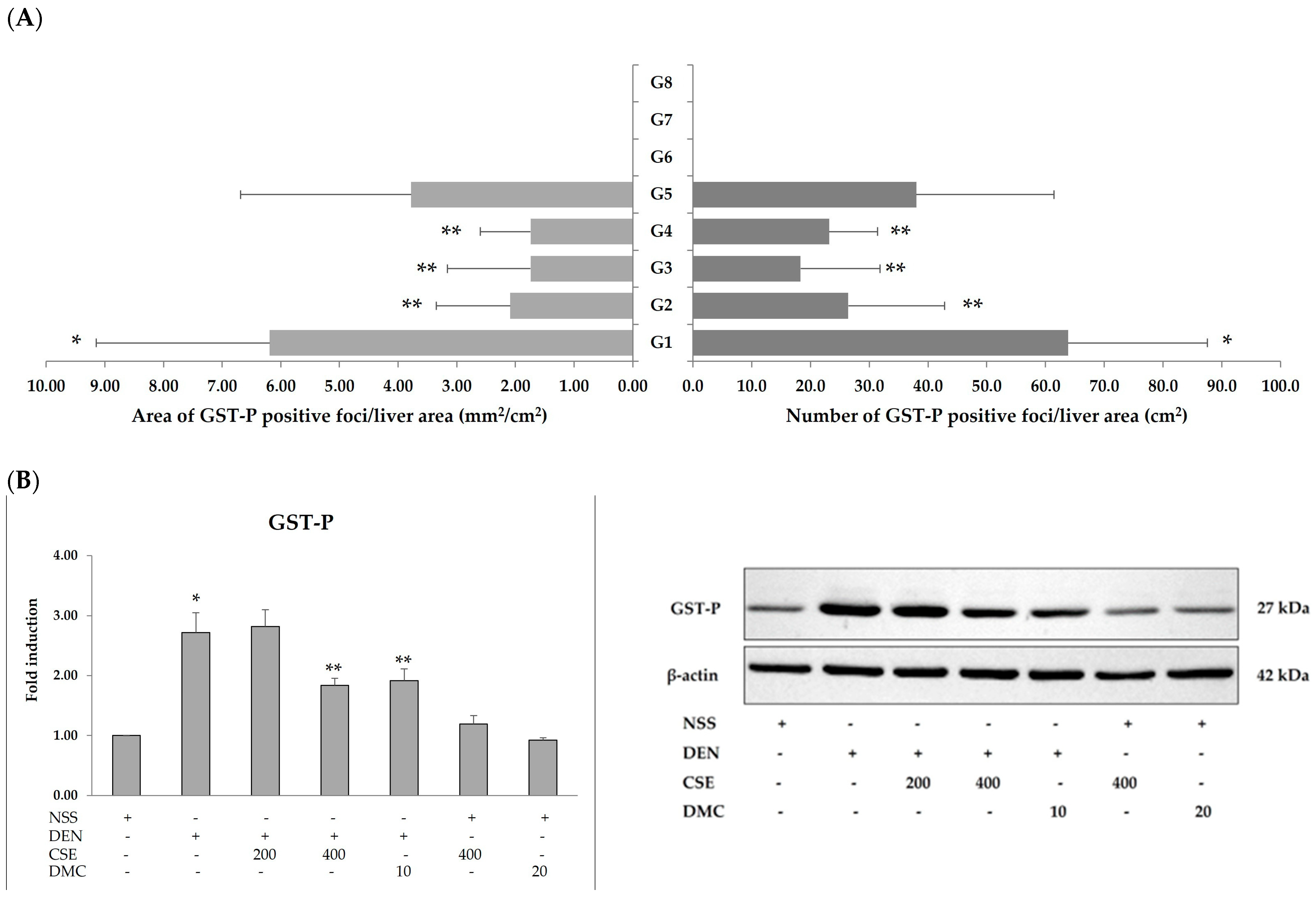 Plants 13 01975 g002