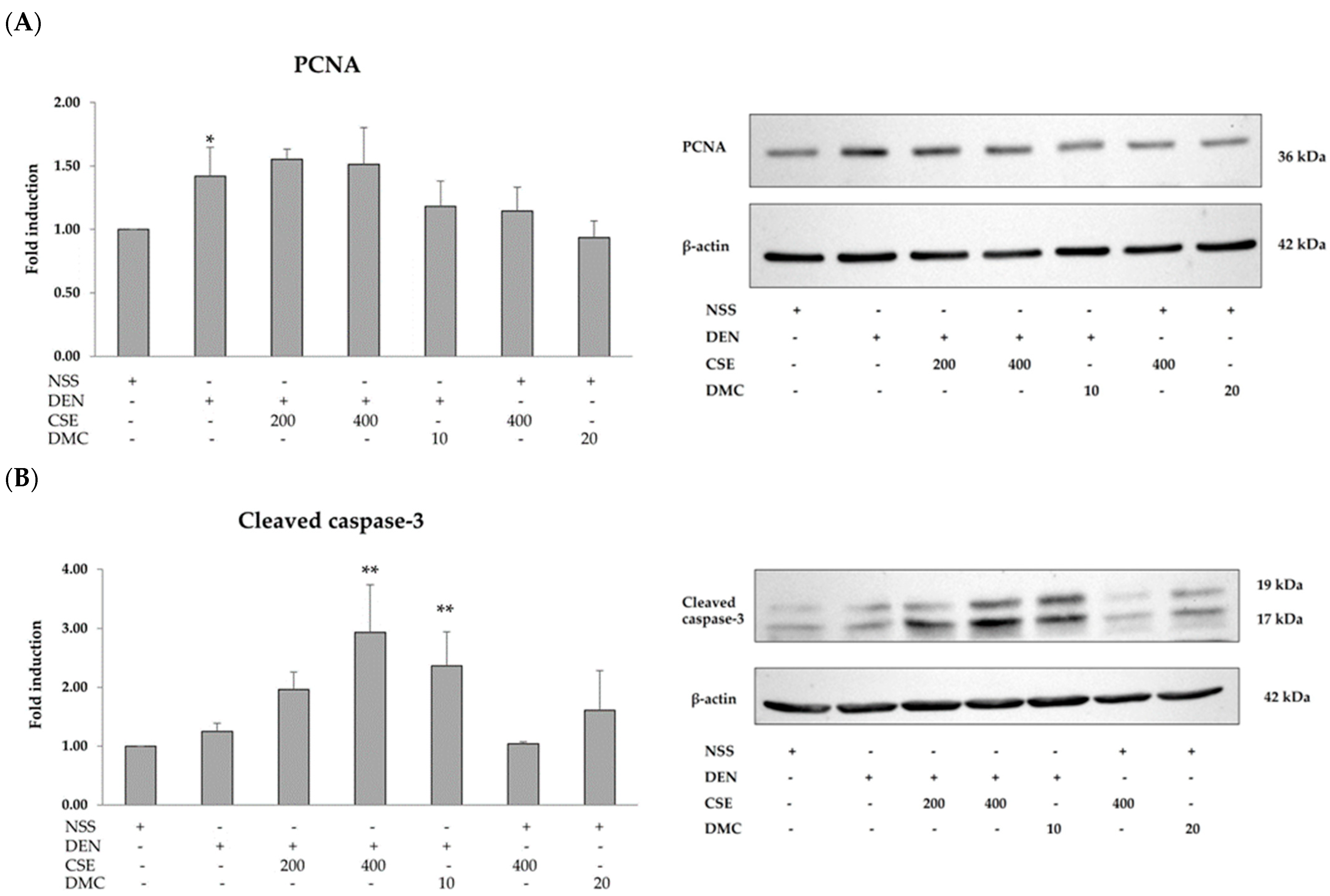 Plants 13 01975 g004