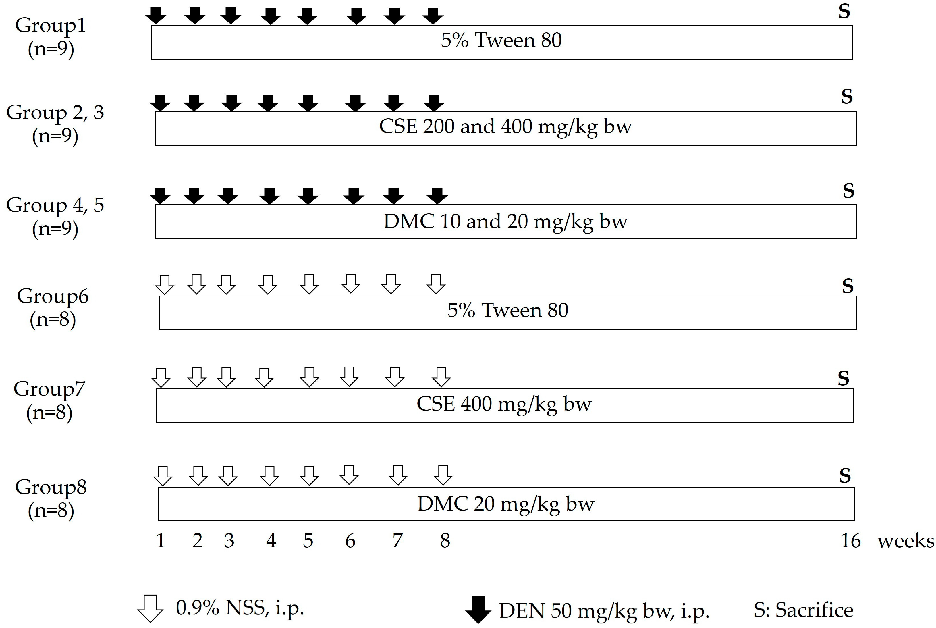 Plants 13 01975 g005