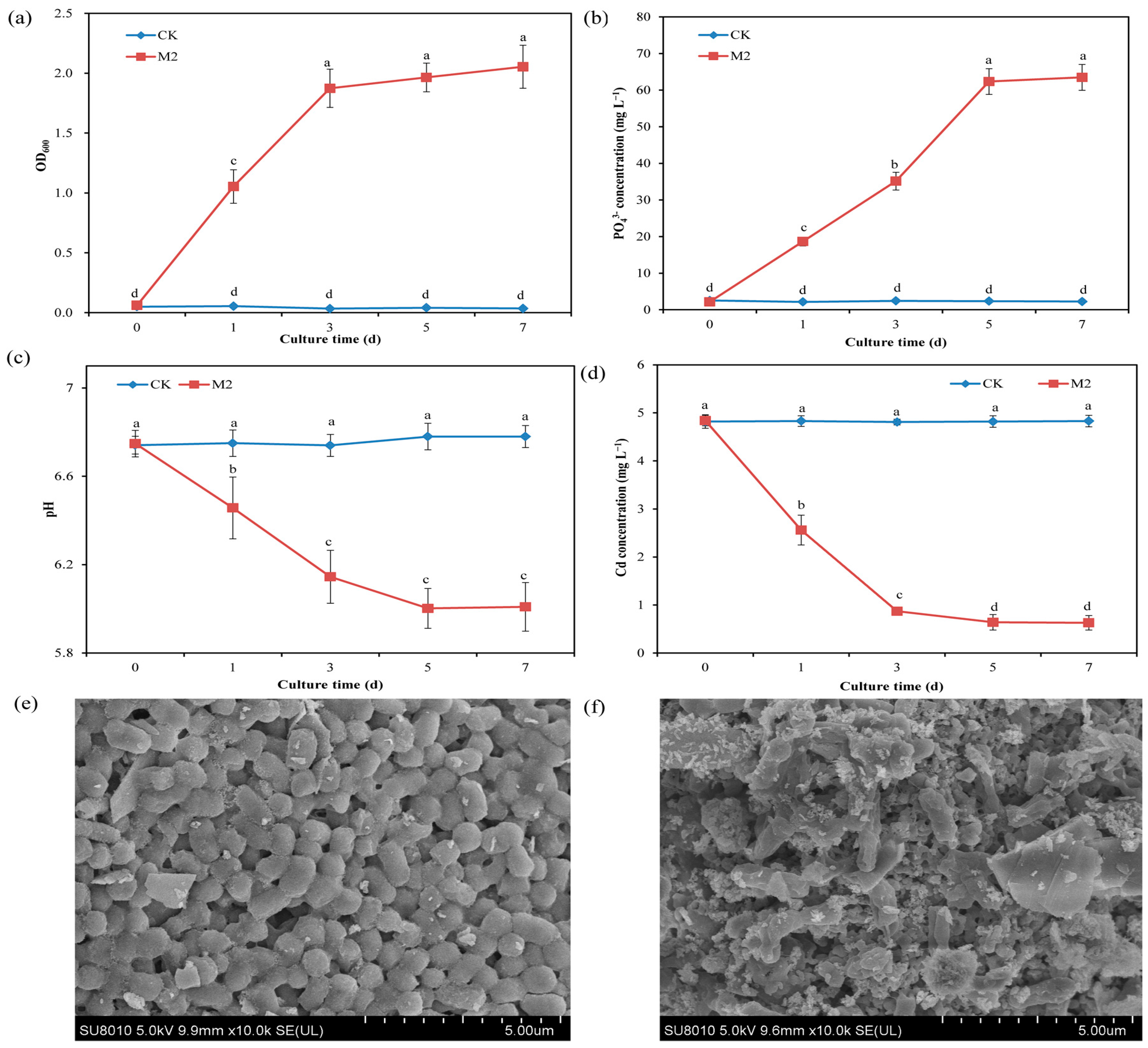 Plants 13 01989 g001