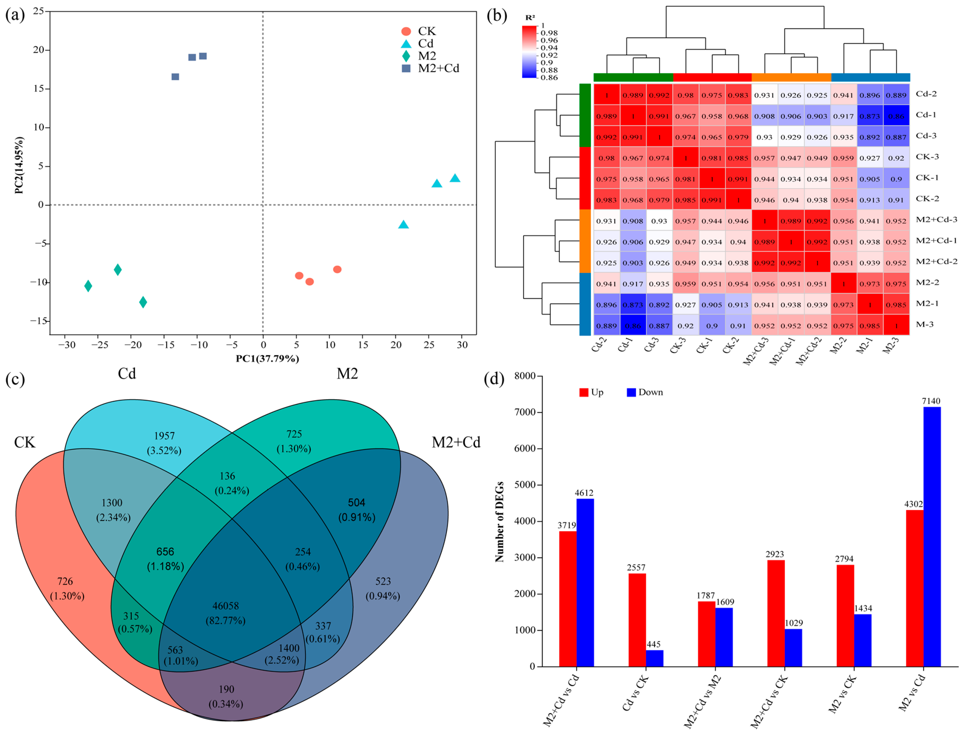 Plants 13 01989 g005