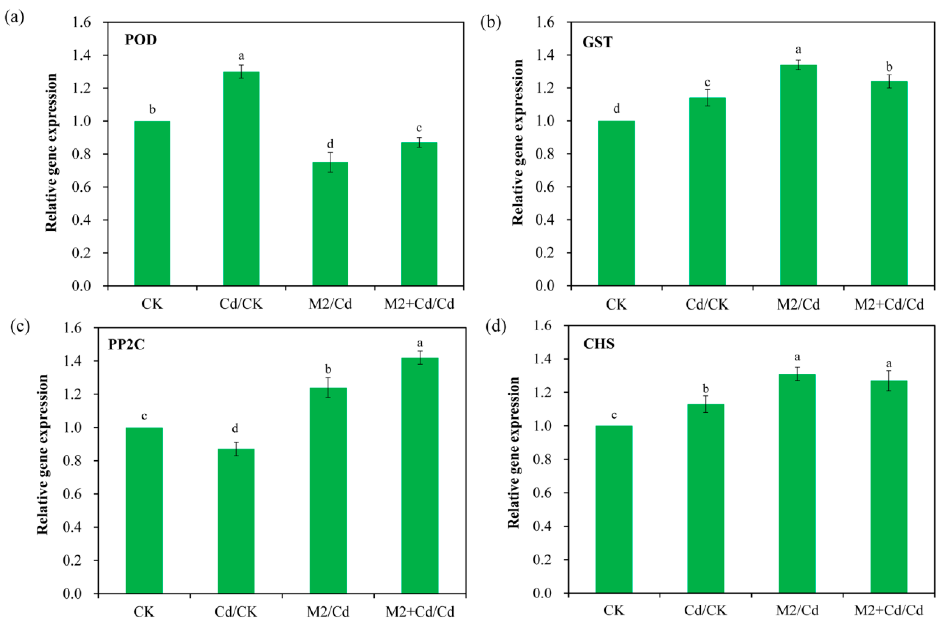 Plants 13 01989 g008