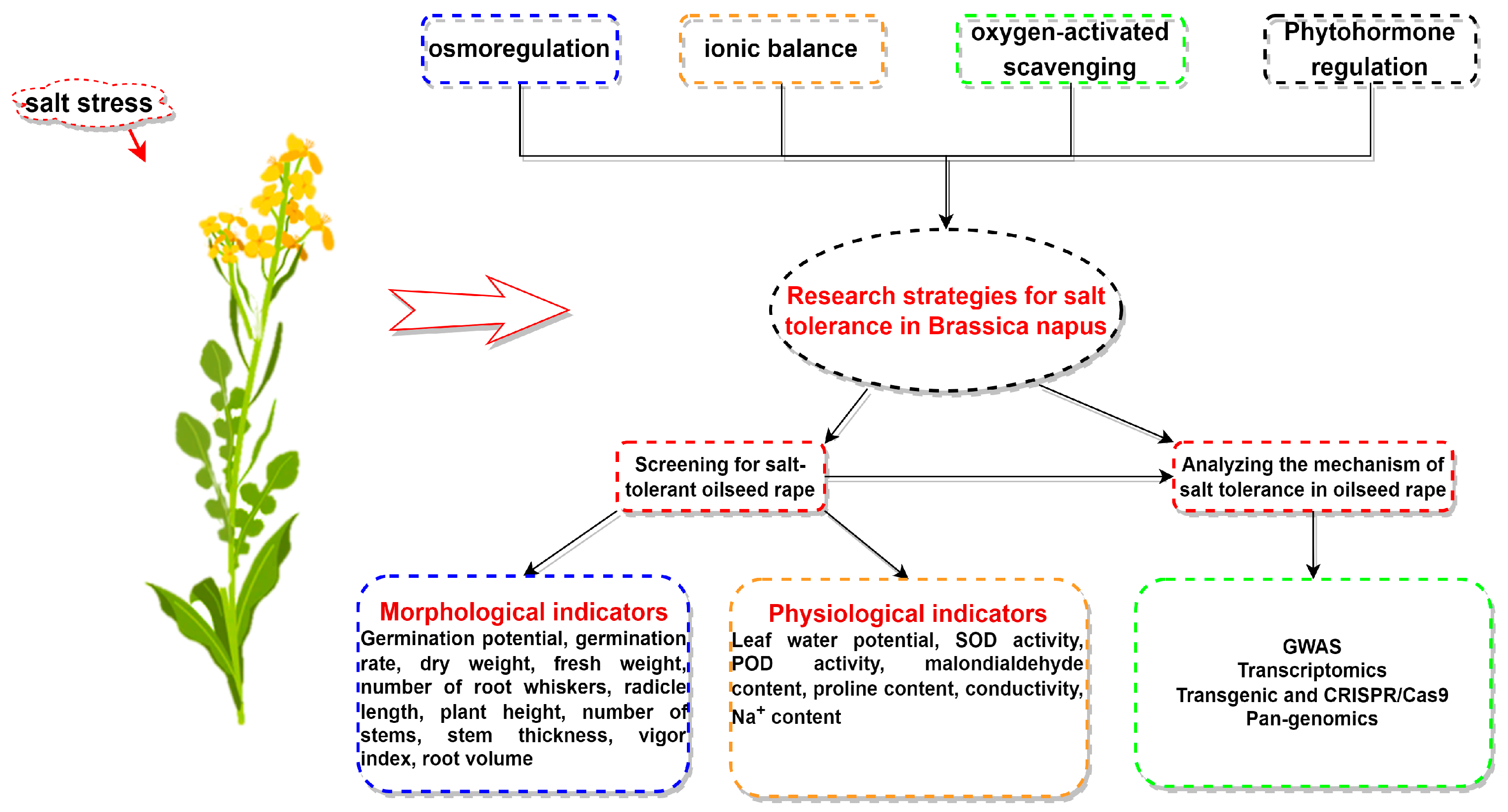 Plants 13 01990 g001