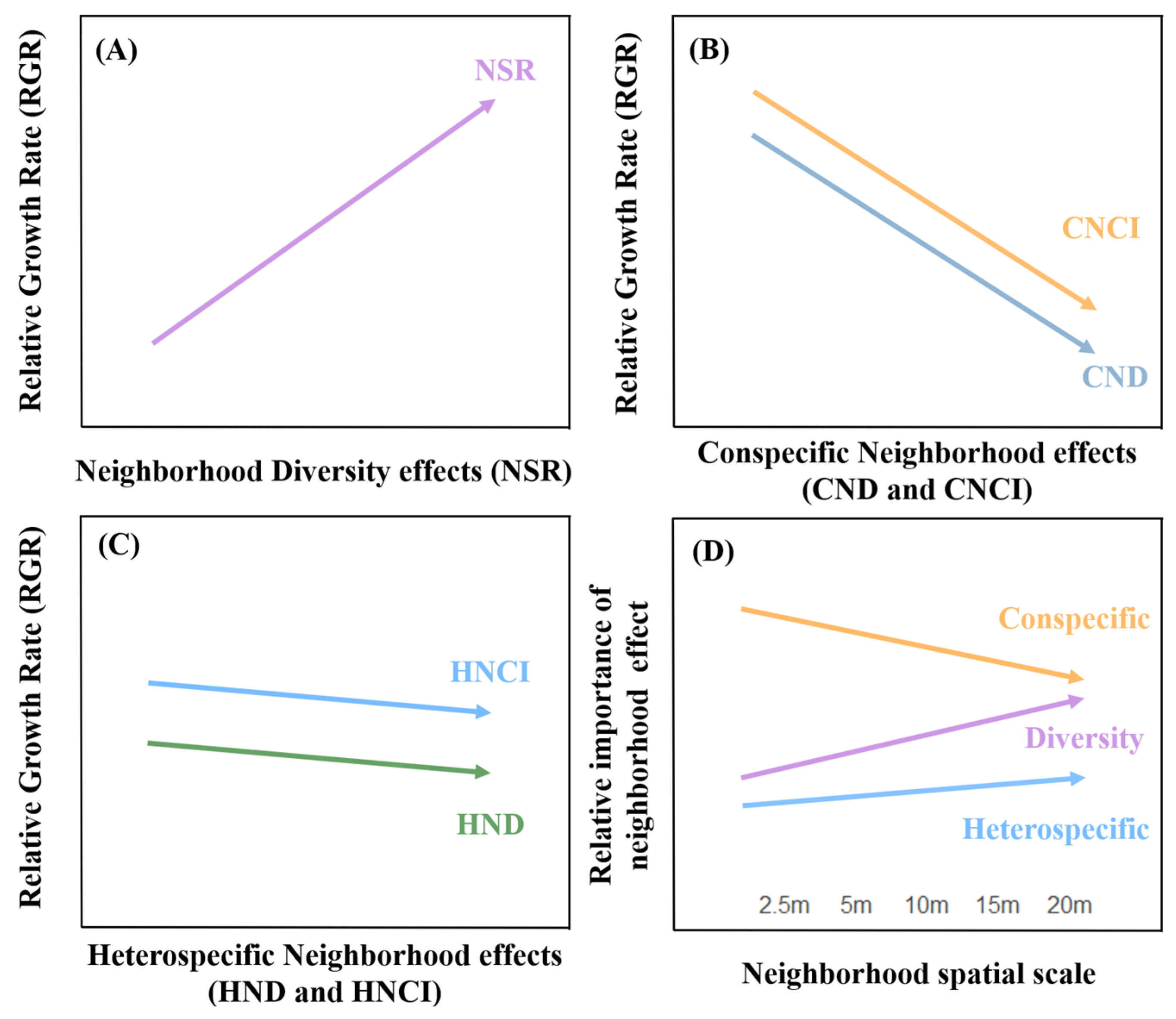 Plants 13 01994 g001