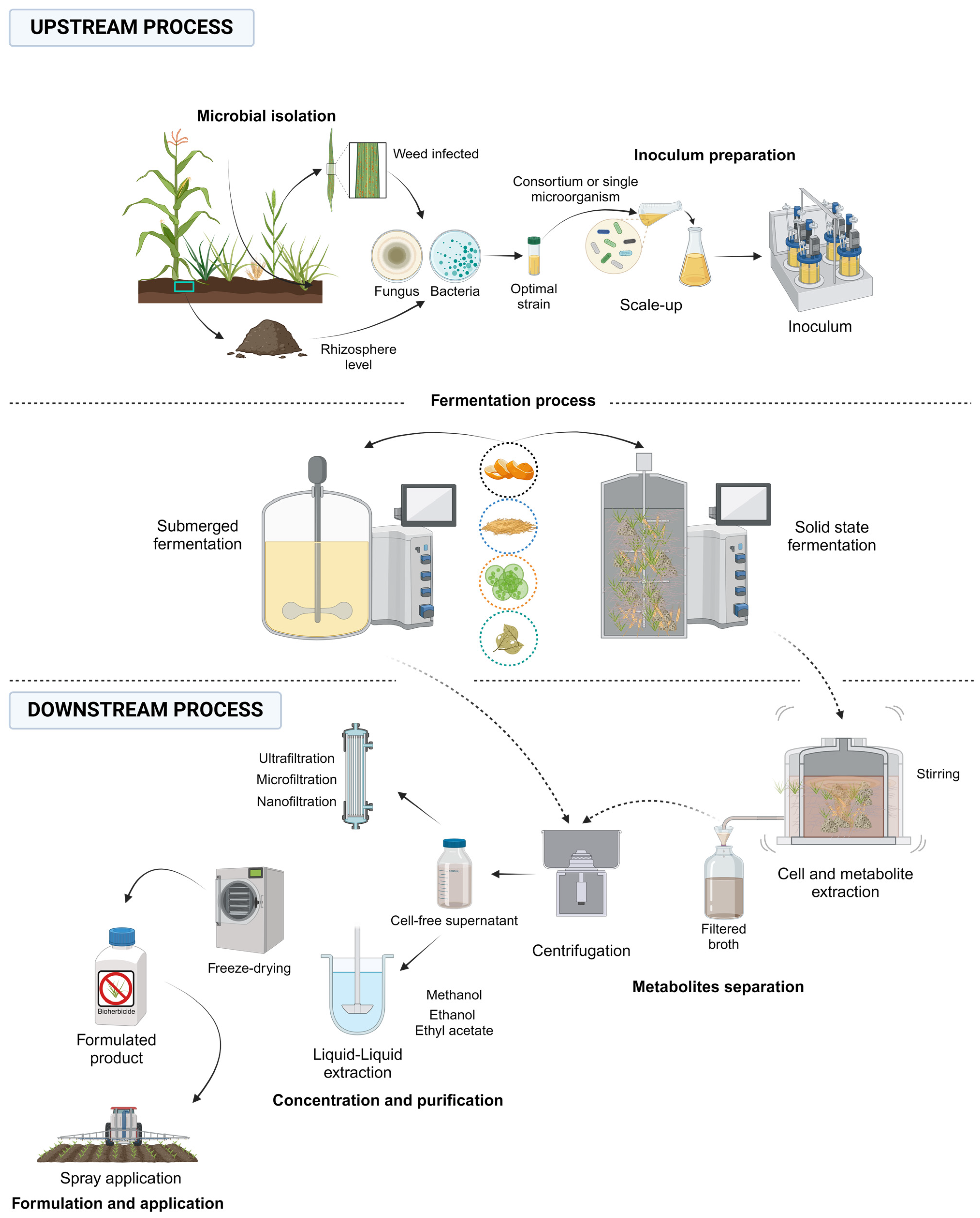 Plants 13 01996 g002 Plants 13 01996 g002