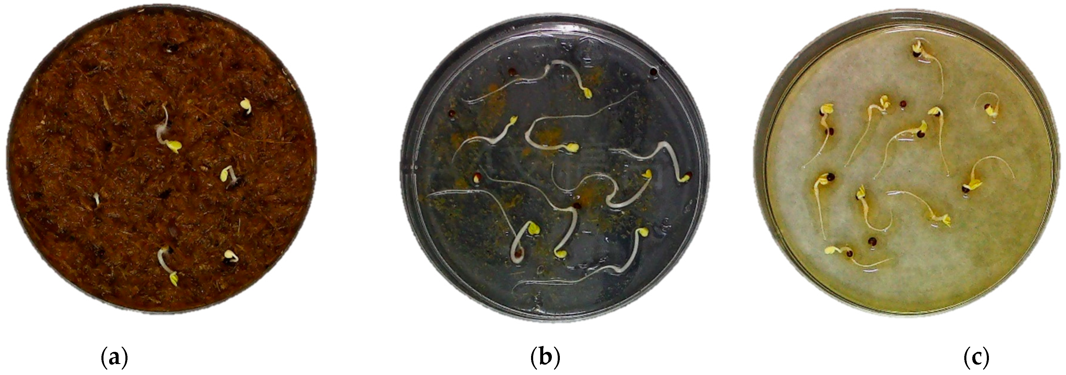 Plants 13 02000 g003