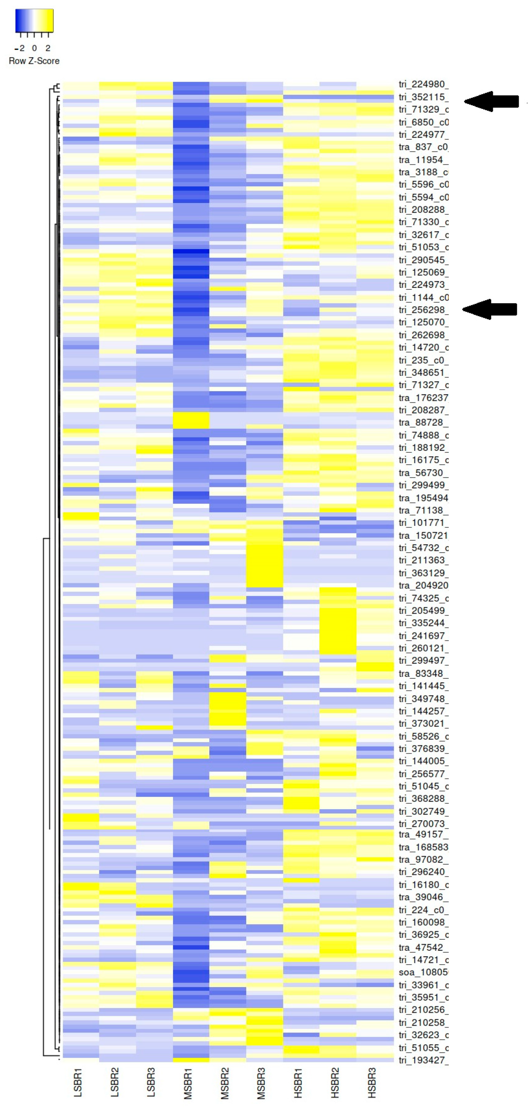 Plants 13 02008 g002
