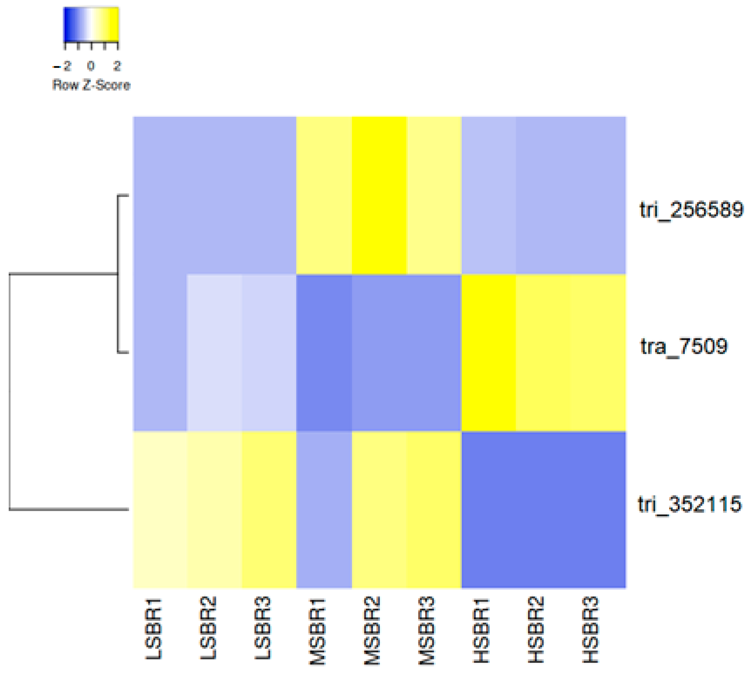 Plants 13 02008 g003