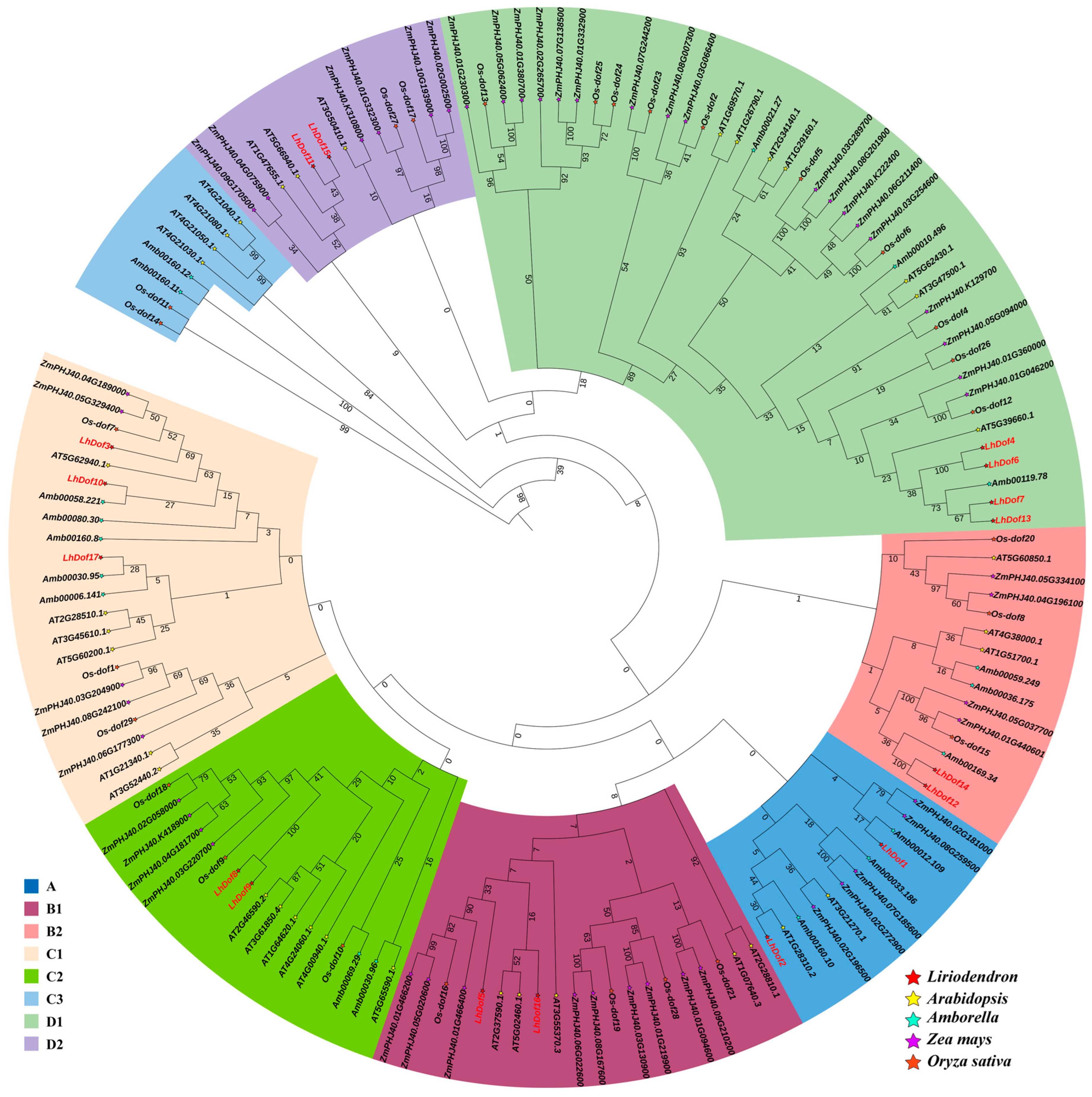 Plants 13 02009 g003