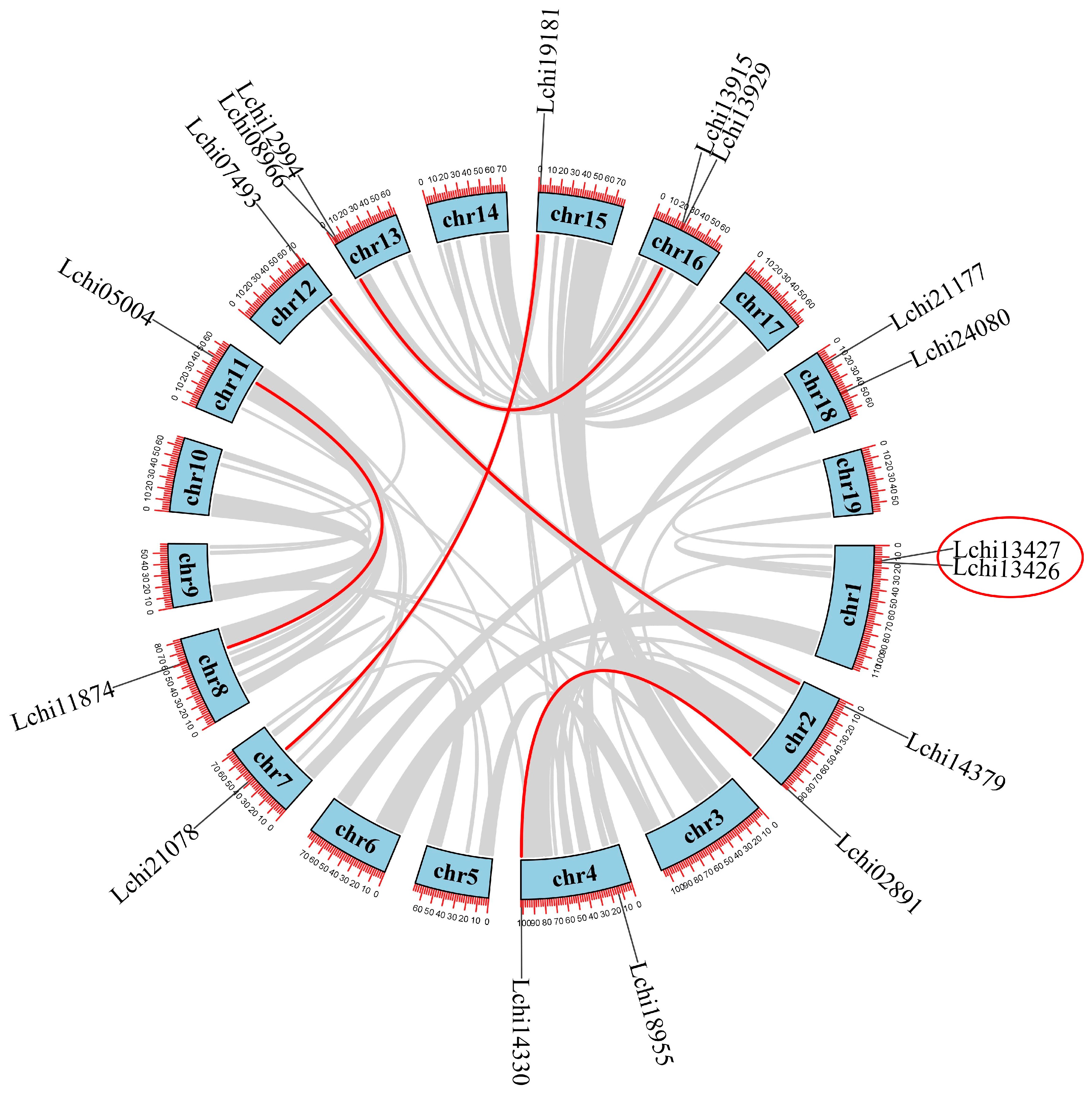 Plants 13 02009 g004
