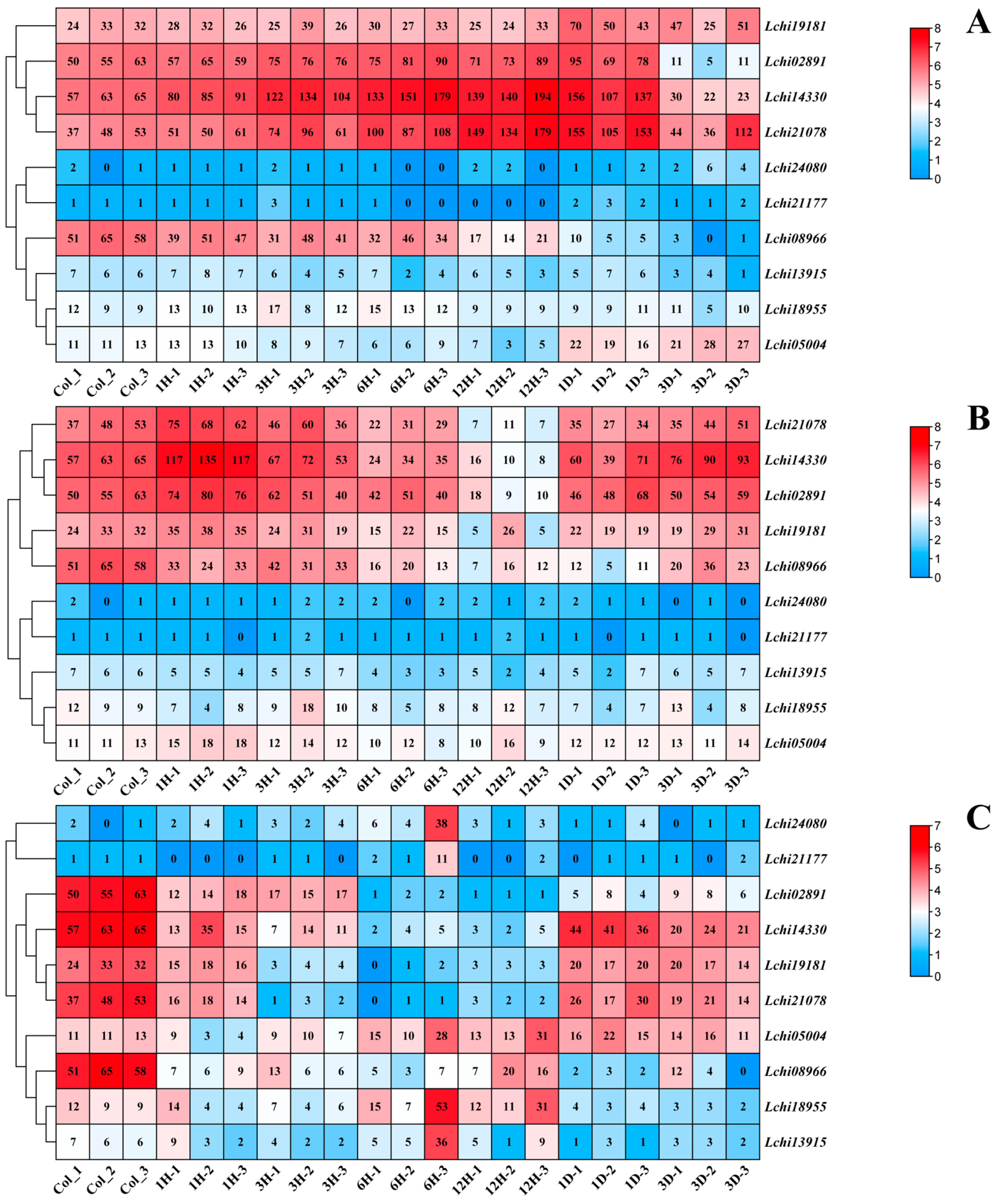 Plants 13 02009 g006
