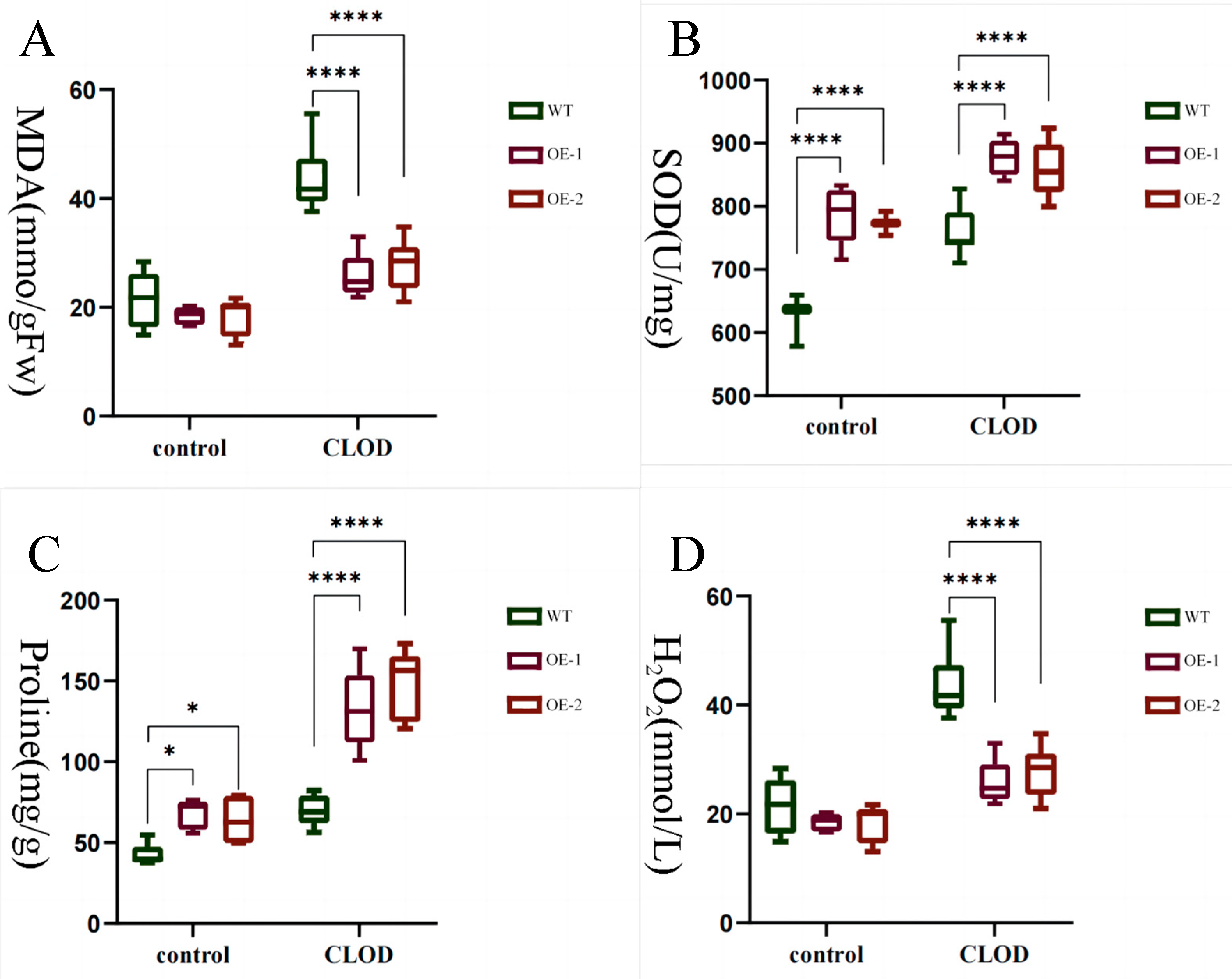 Plants 13 02009 g011