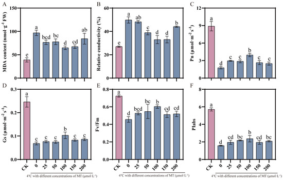 Exogenous Melatonin Enhances Cold Tolerance by Regulating