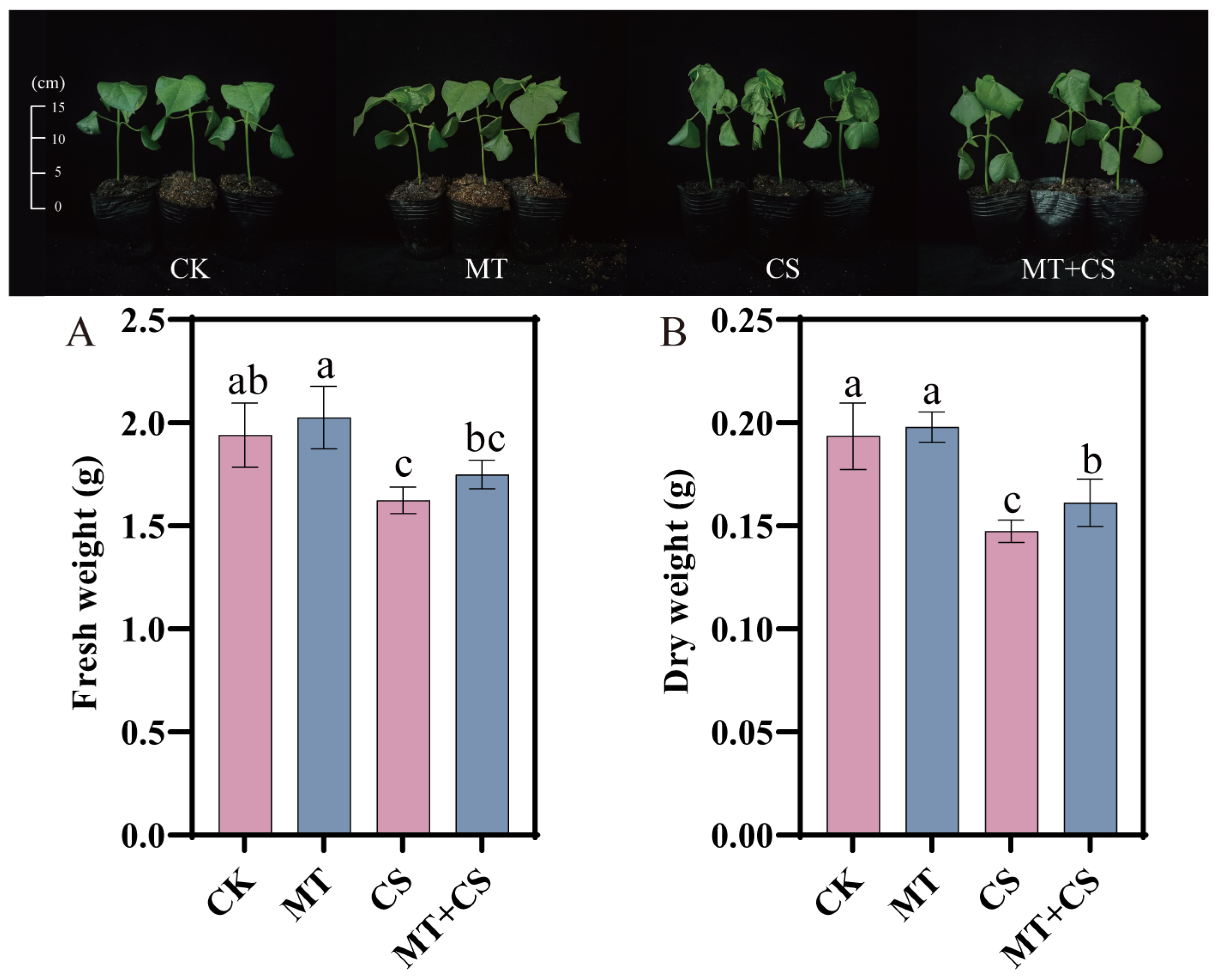 Plants 13 02010 g002