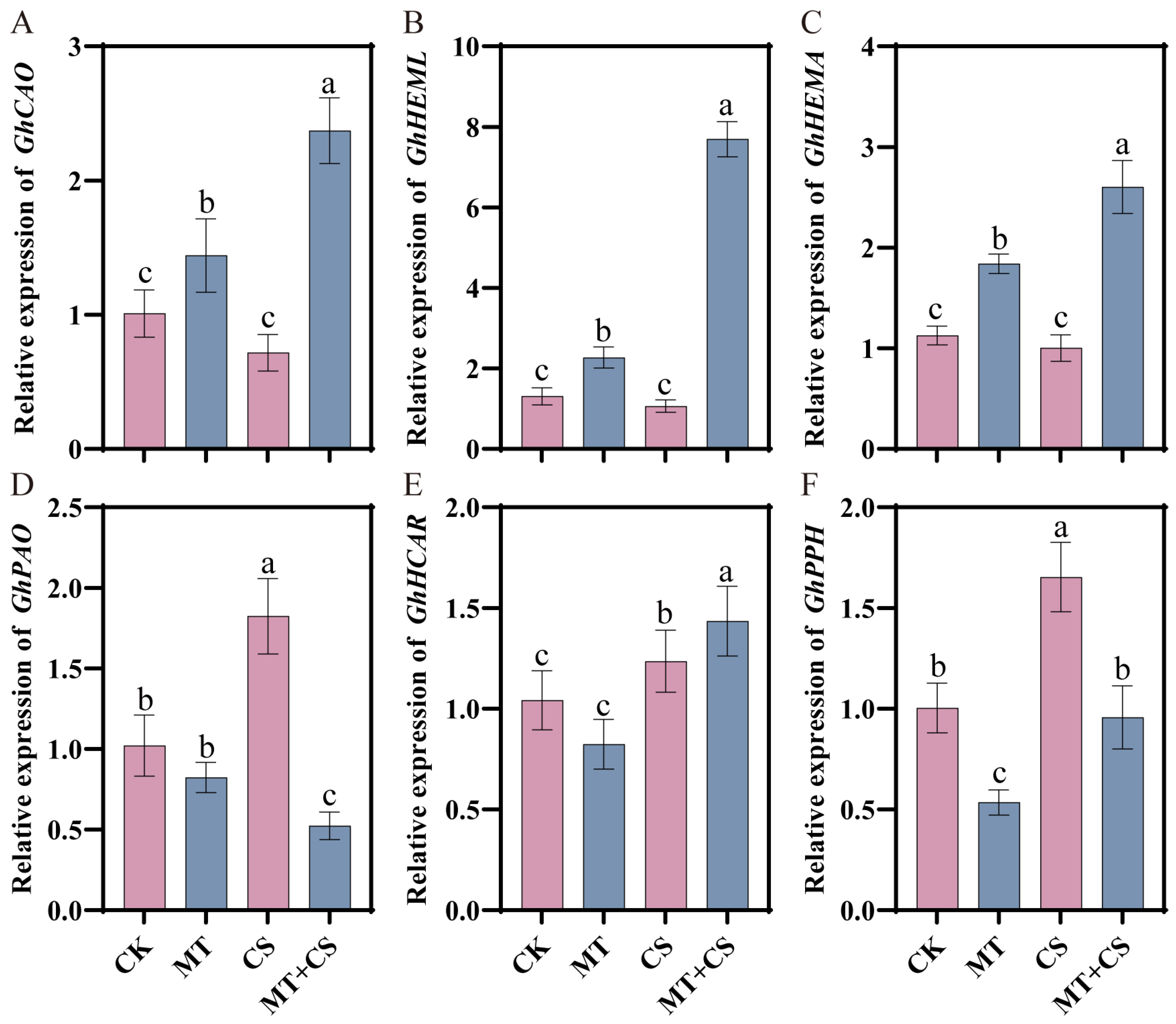 Plants 13 02010 g007