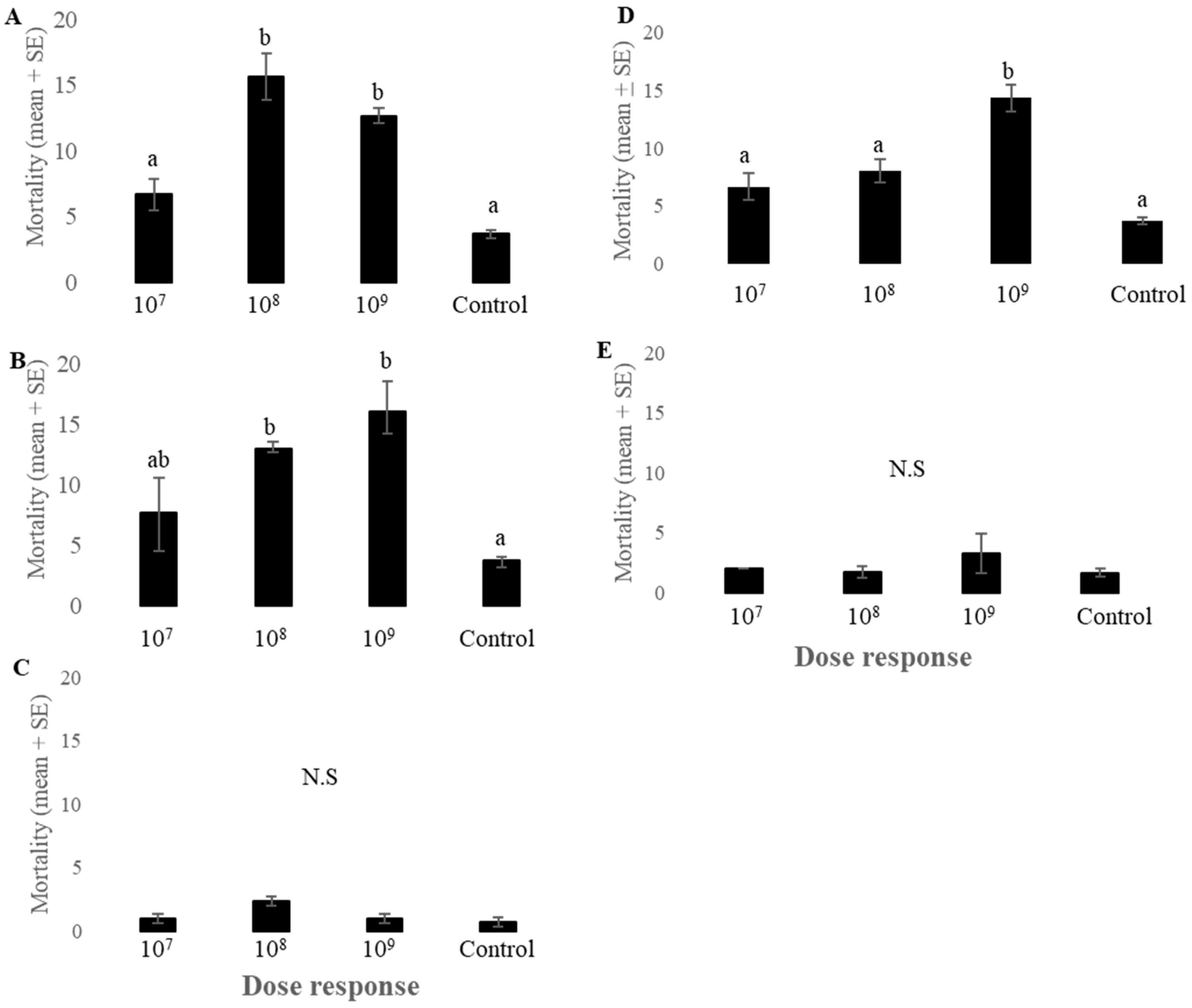 Plants 13 02012 g002 Plants 13 02012 g002