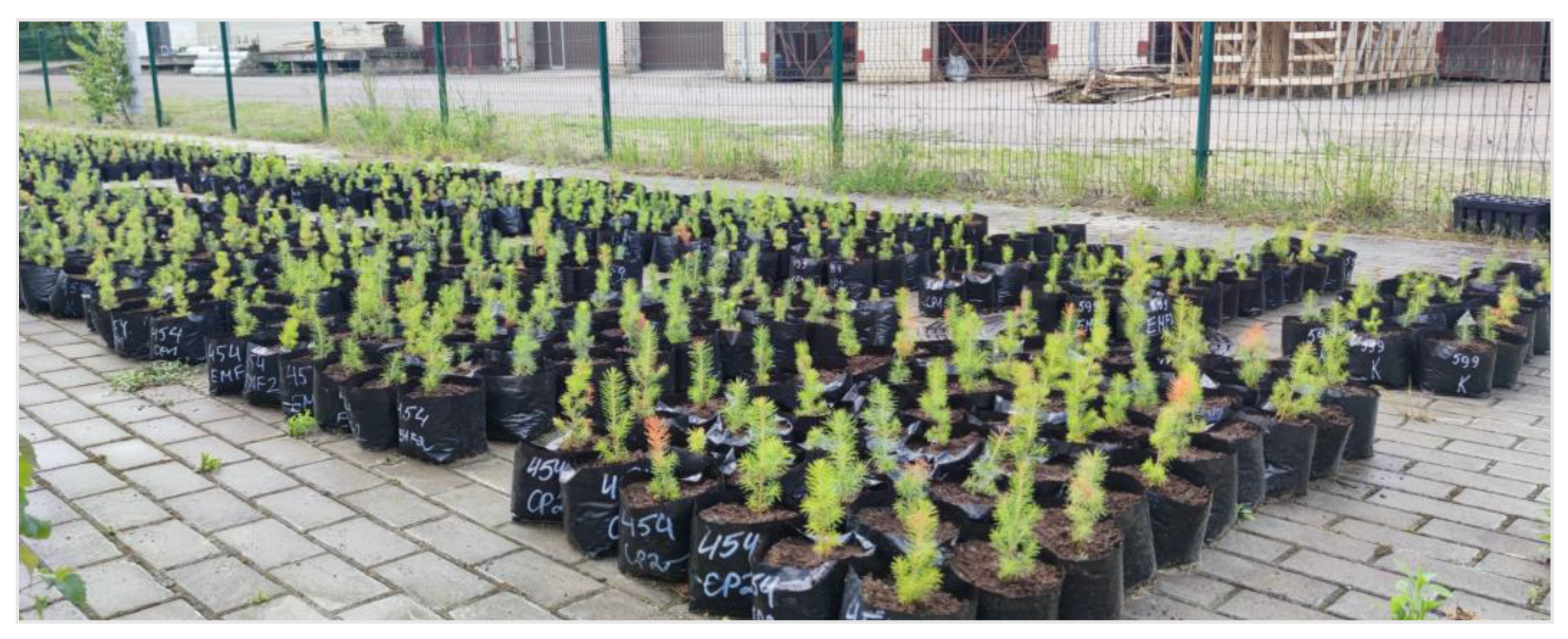 Plants 13 02021 g009