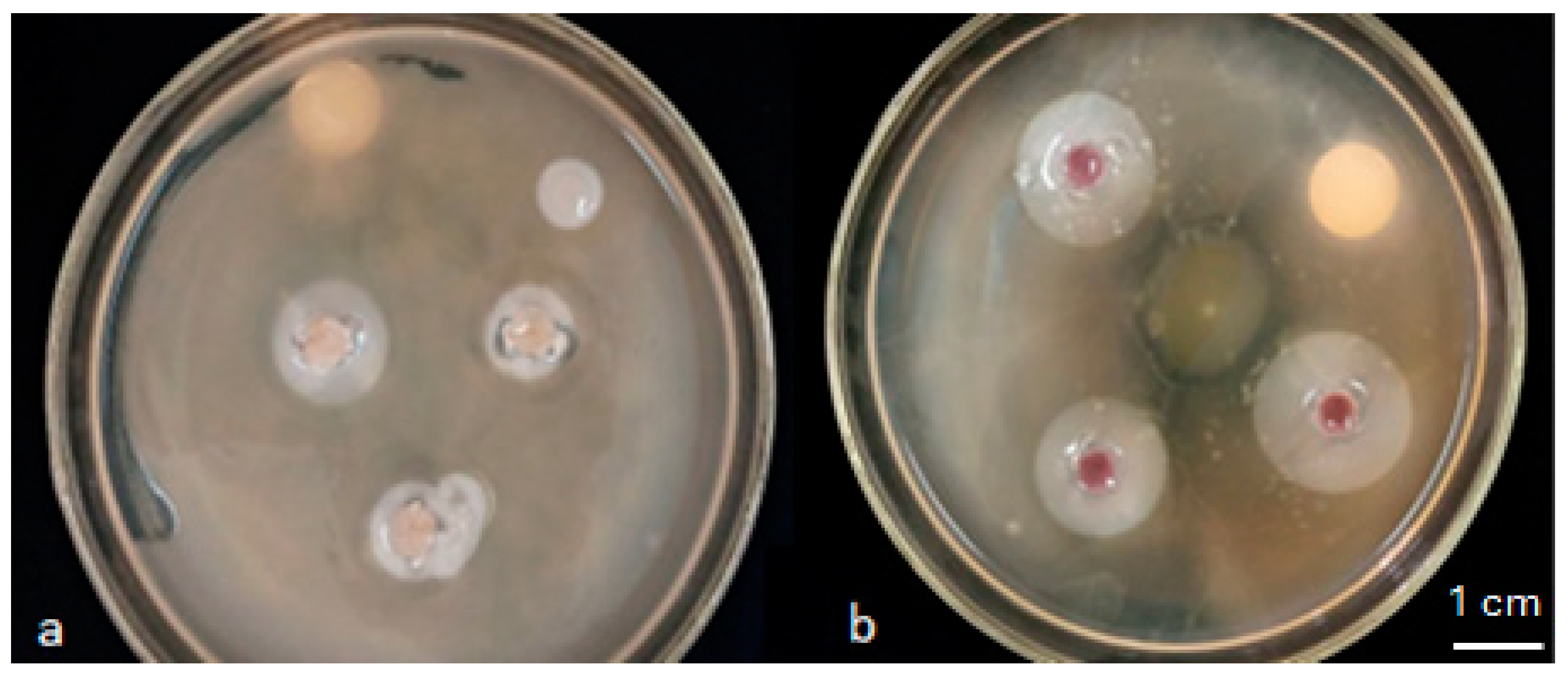 Plants 13 02025 g002 Plants 13 02025 g002