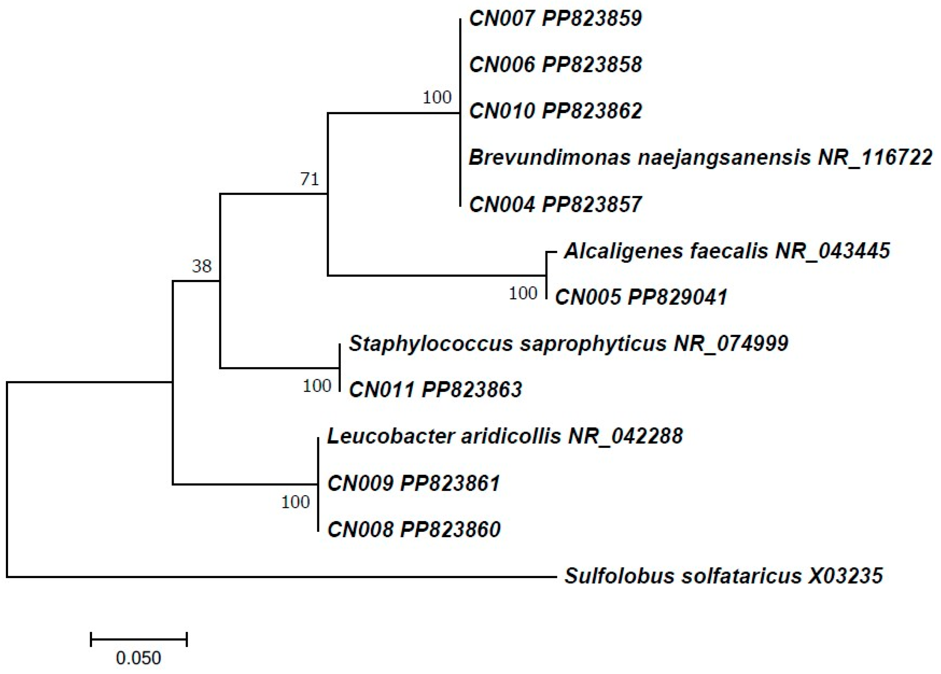 Plants 13 02025 g012 Plants 13 02025 g012