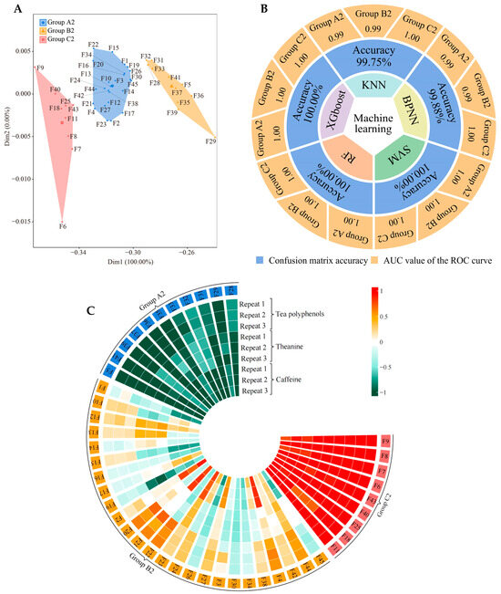 シグナル YAP/TAZ in the nervous system: Key regulatory and therapeutic