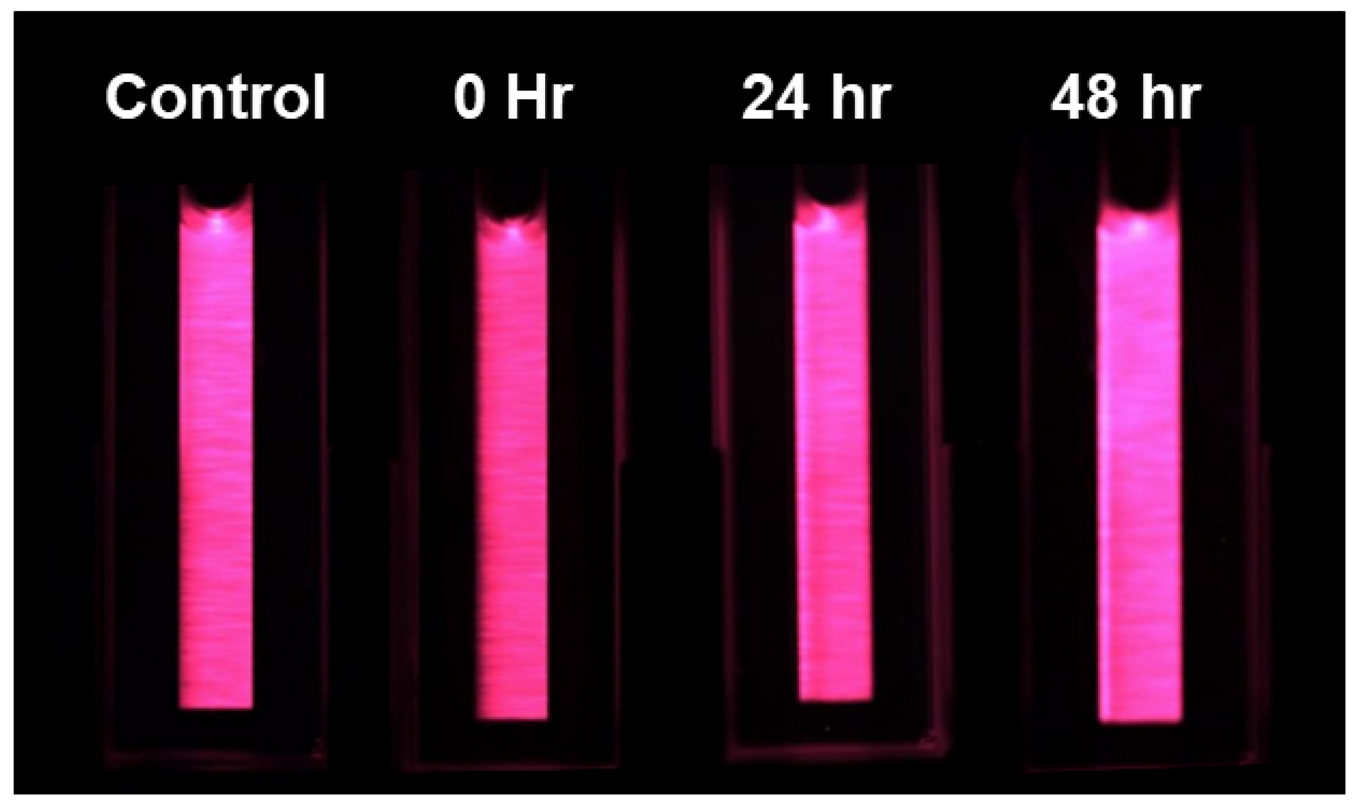 Plants 13 02031 g009
