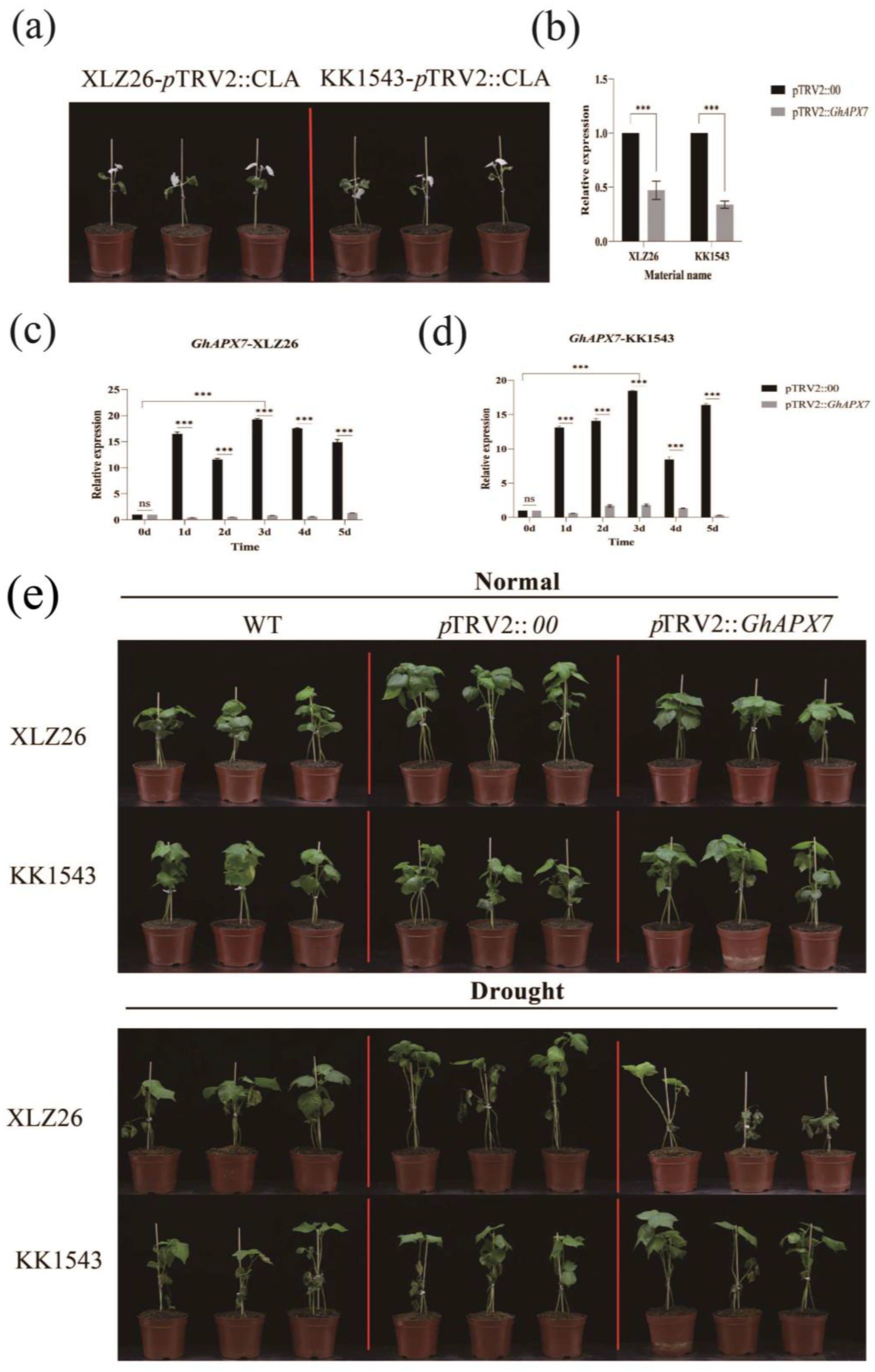 Plants 13 02032 g002