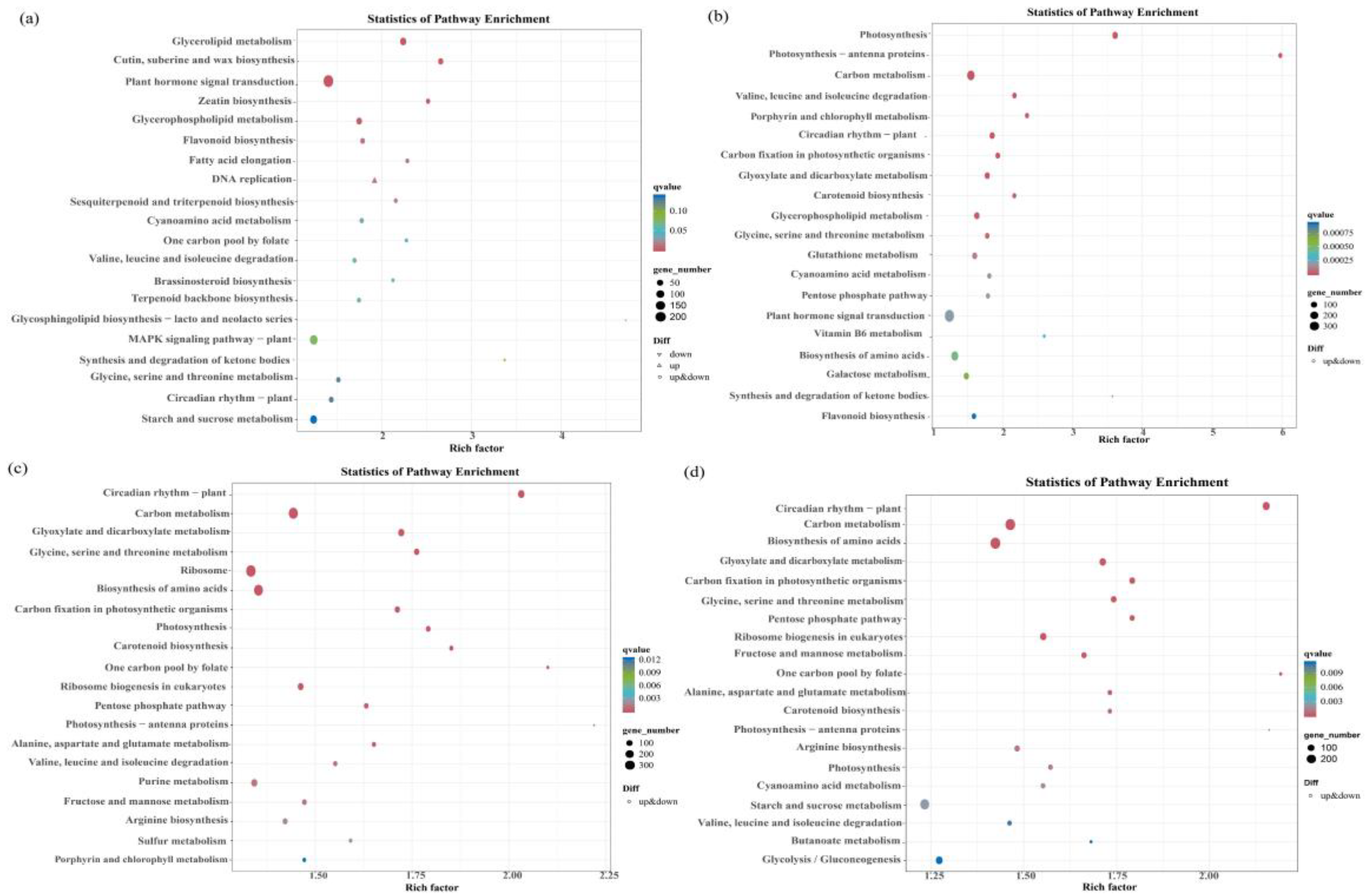 Plants 13 02032 g007