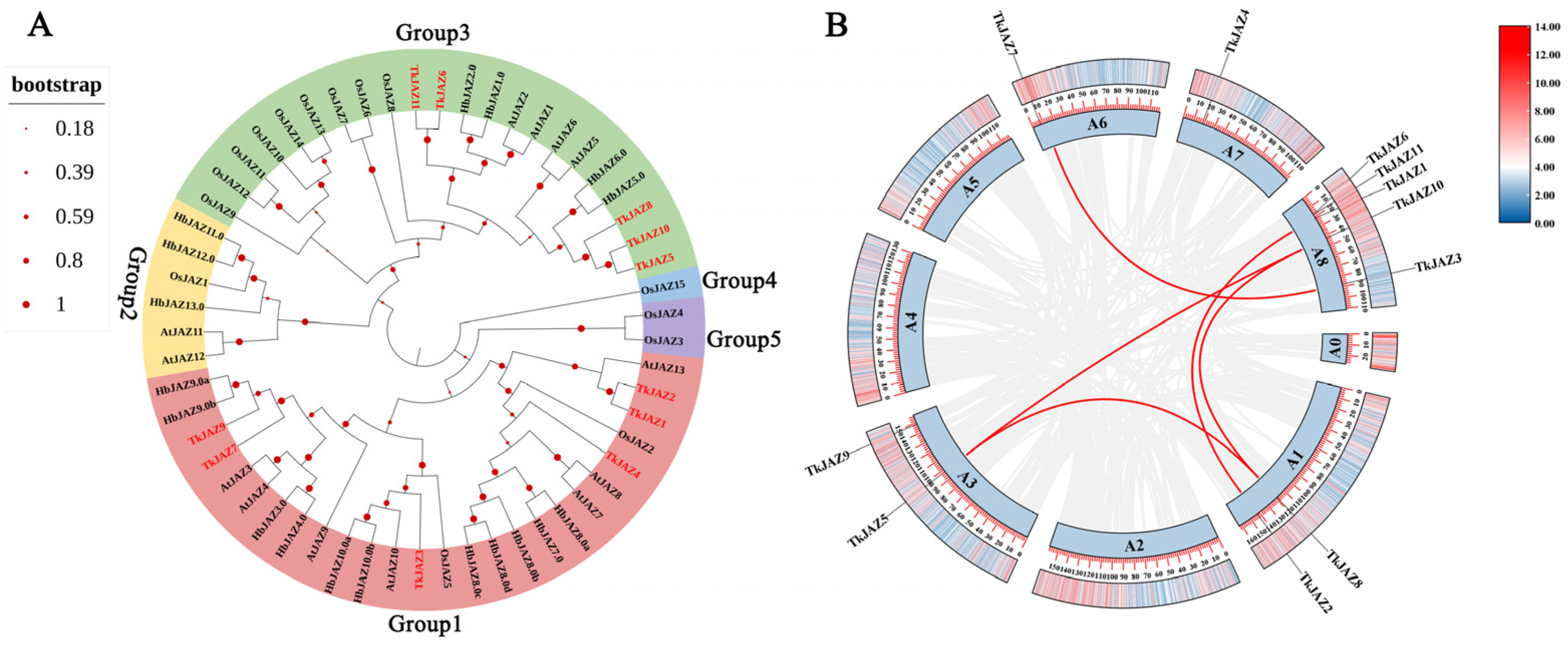 Plants 13 02034 g002