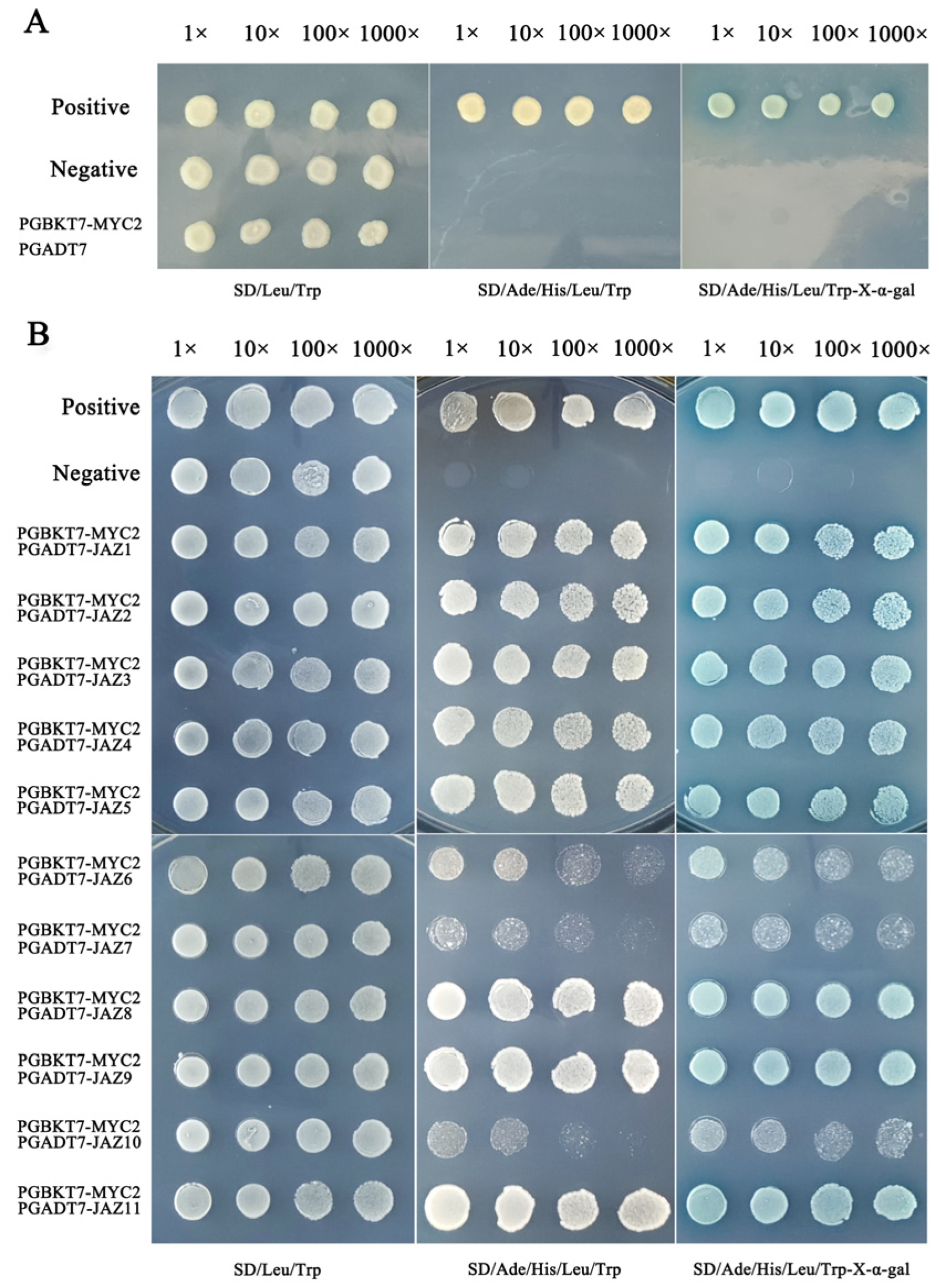Plants 13 02034 g005