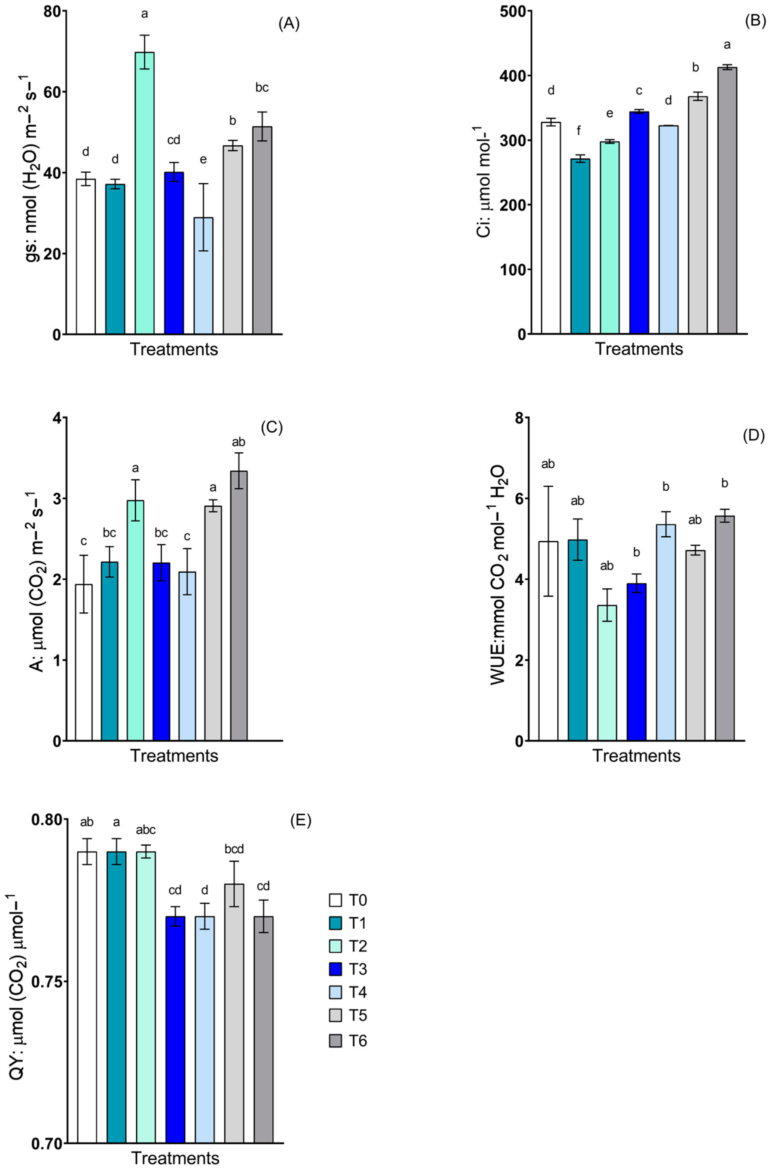 Plants 13 02042 g004