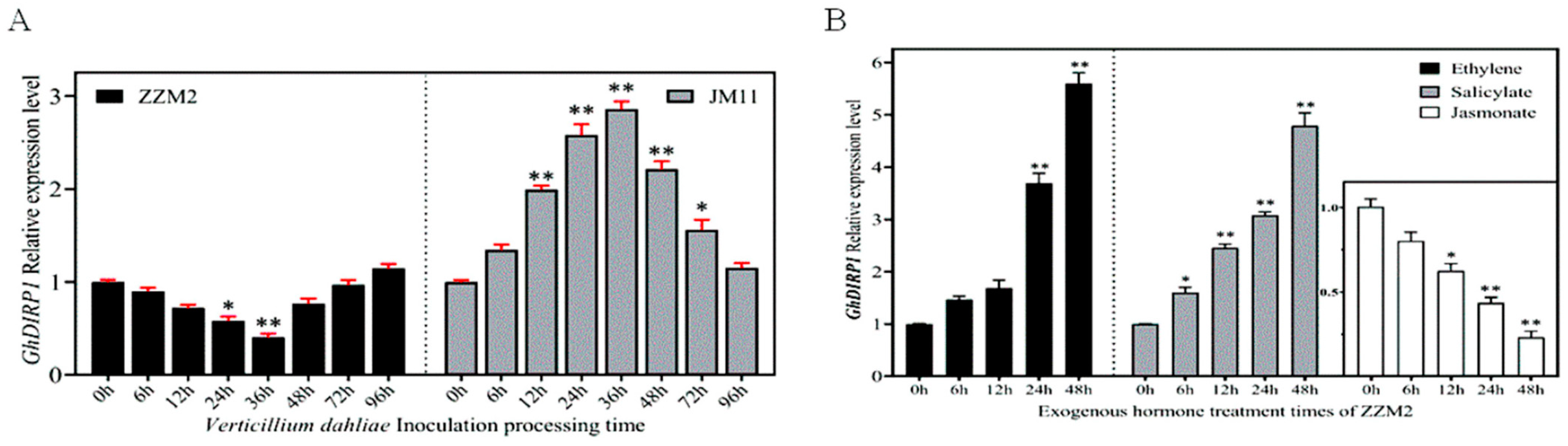 Plants 13 02047 g001