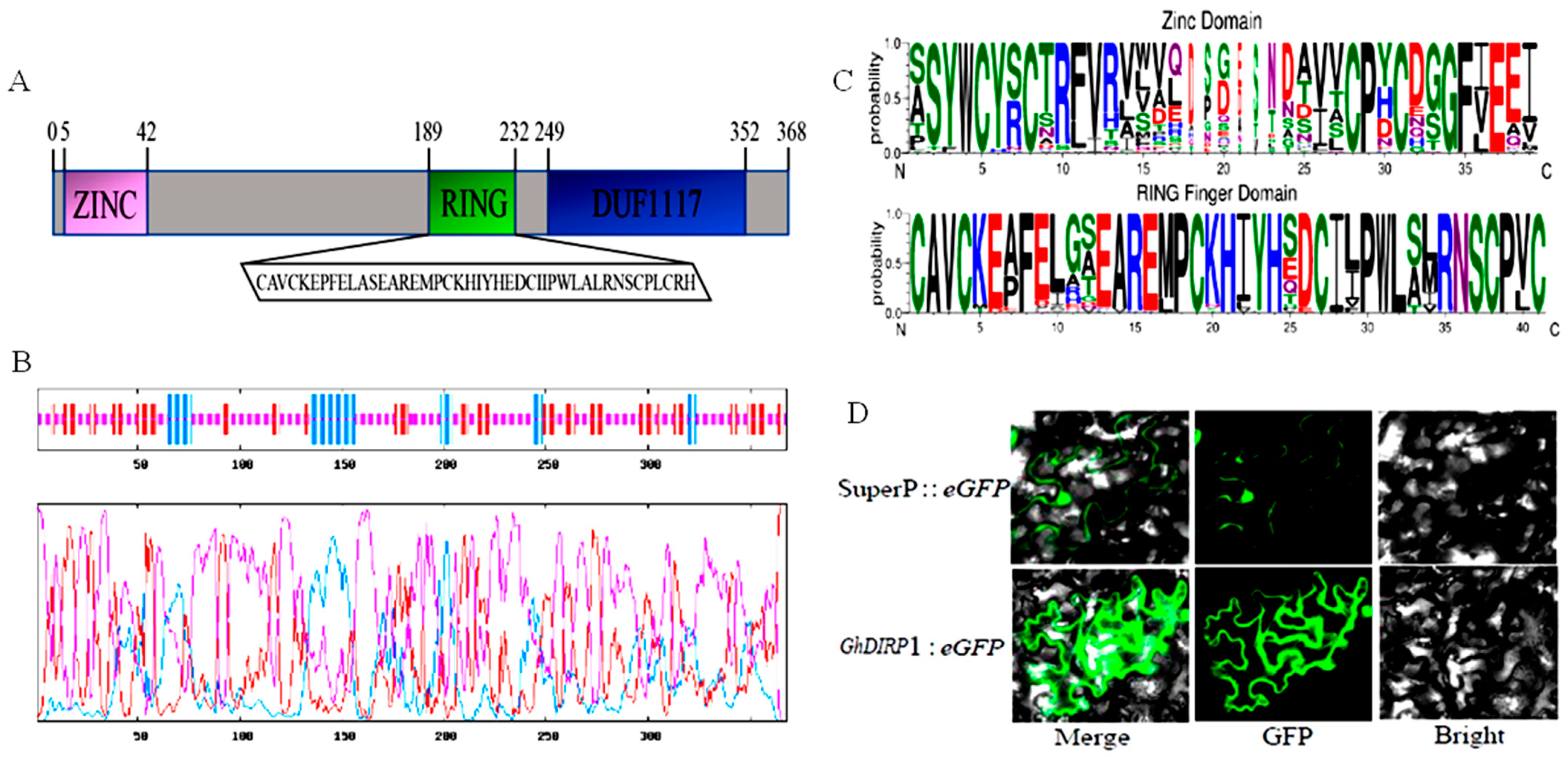 Plants 13 02047 g006
