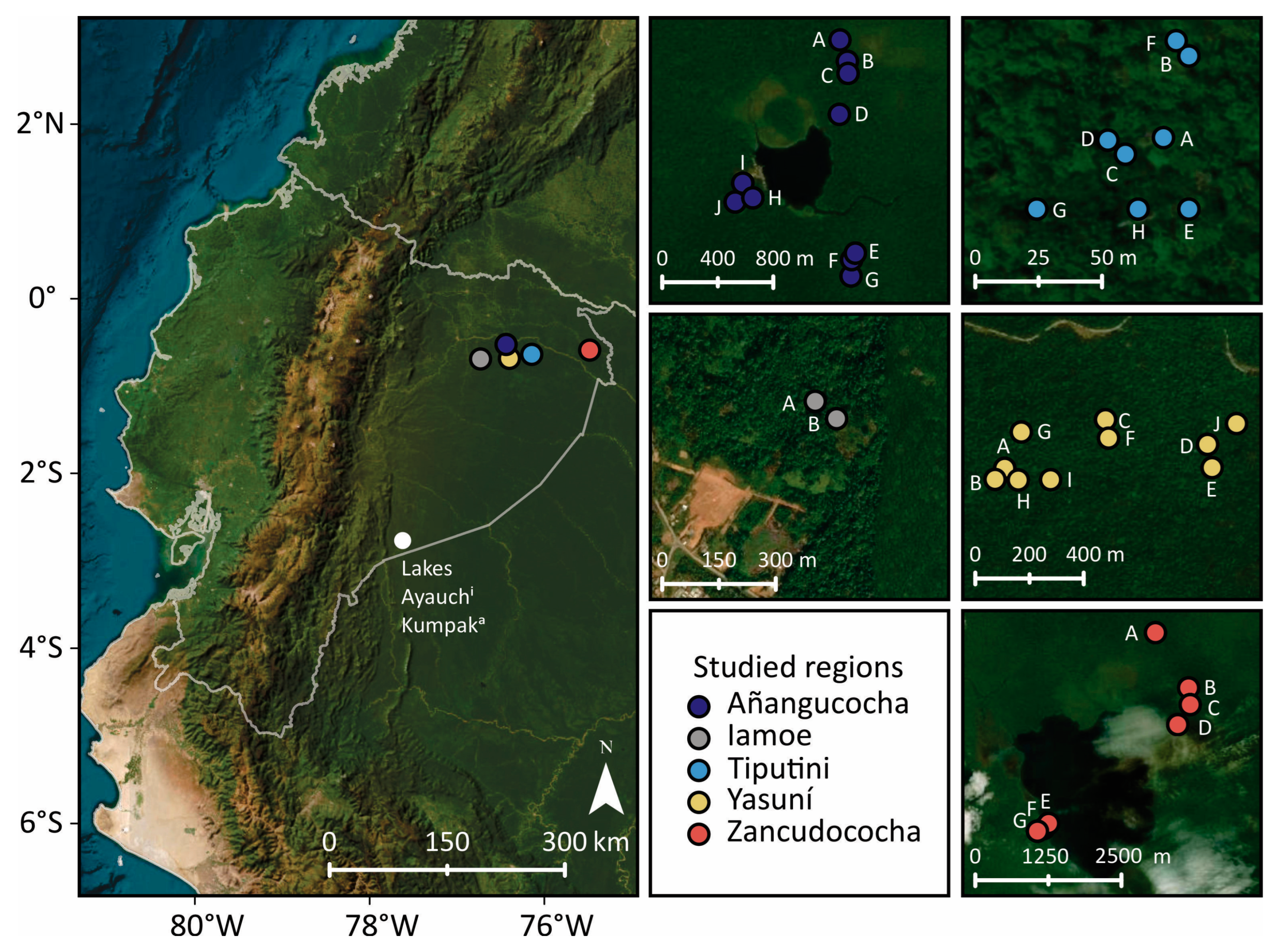 Plants 13 02048 g001