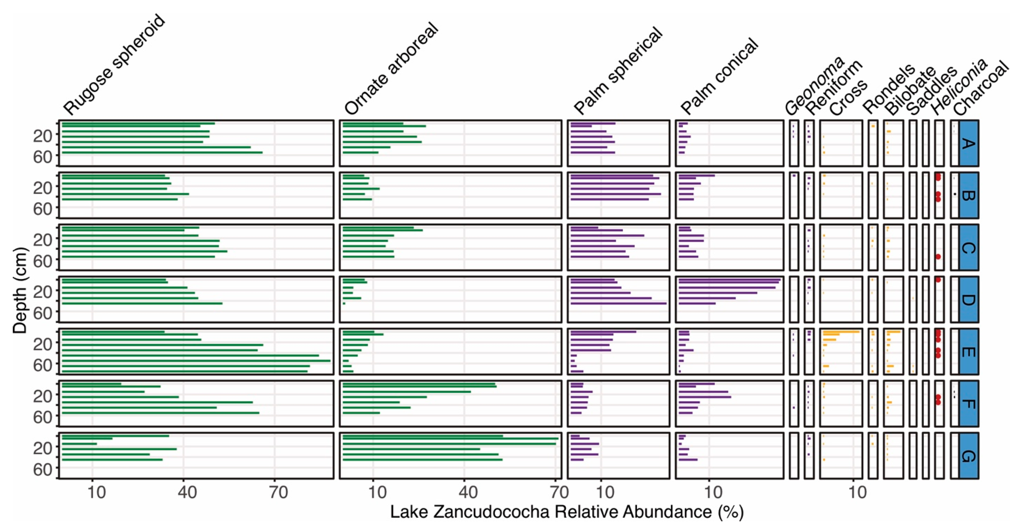 Plants 13 02048 g004